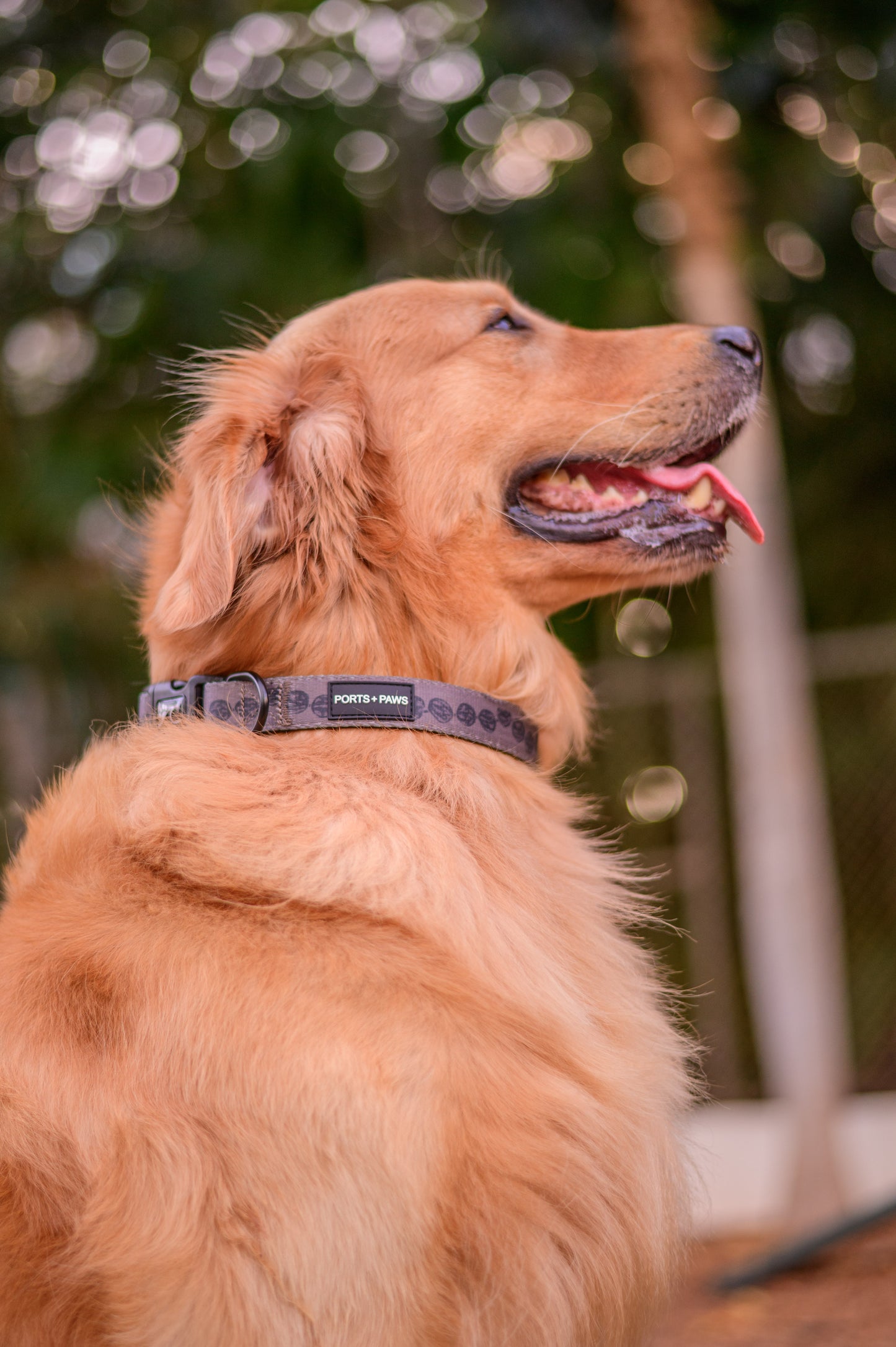 COLLAR - KUKUI NUT LEI