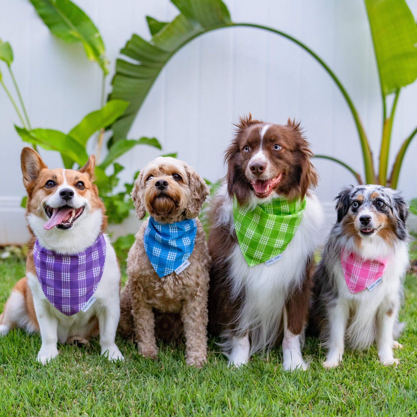 QUICK DRY BANDANA - PALAKA PURPLE