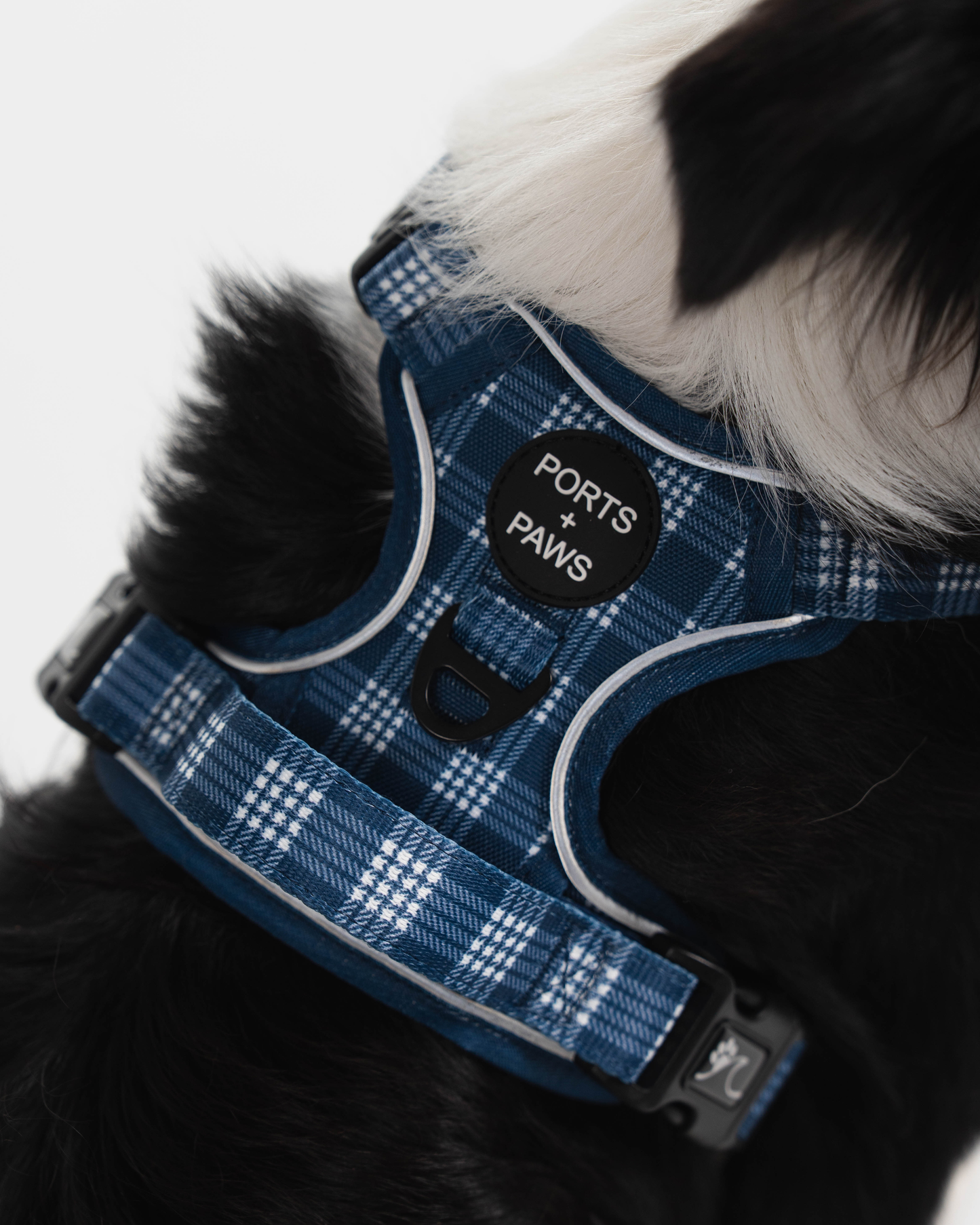 RUGGED HARNESS - PALAKA BLUE