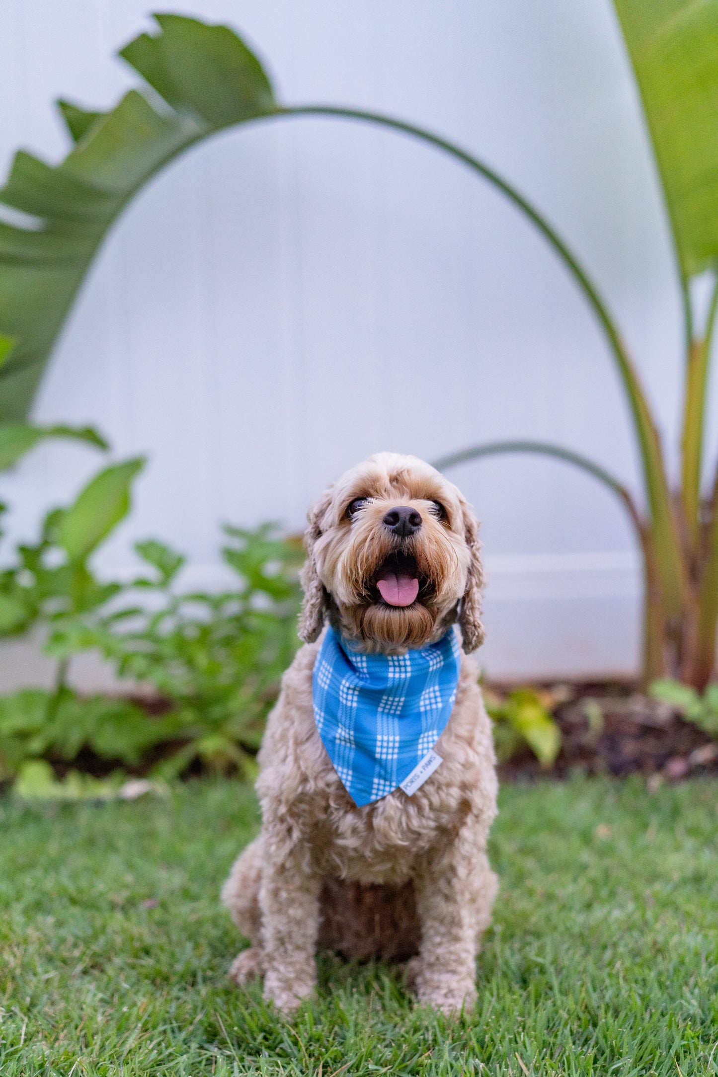 EVERYTHING BUNDLE - PALAKA TEAL