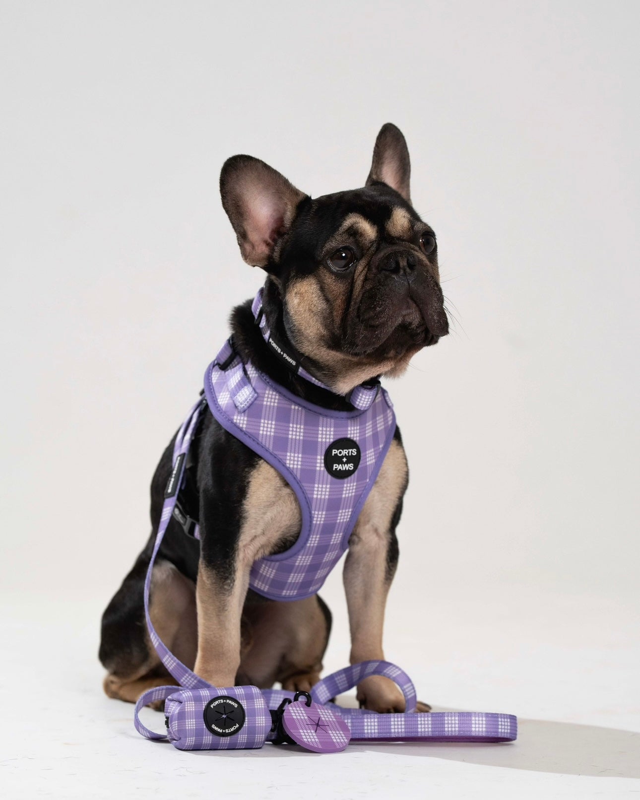 WALKIES BUNDLE - PALAKA PURPLE