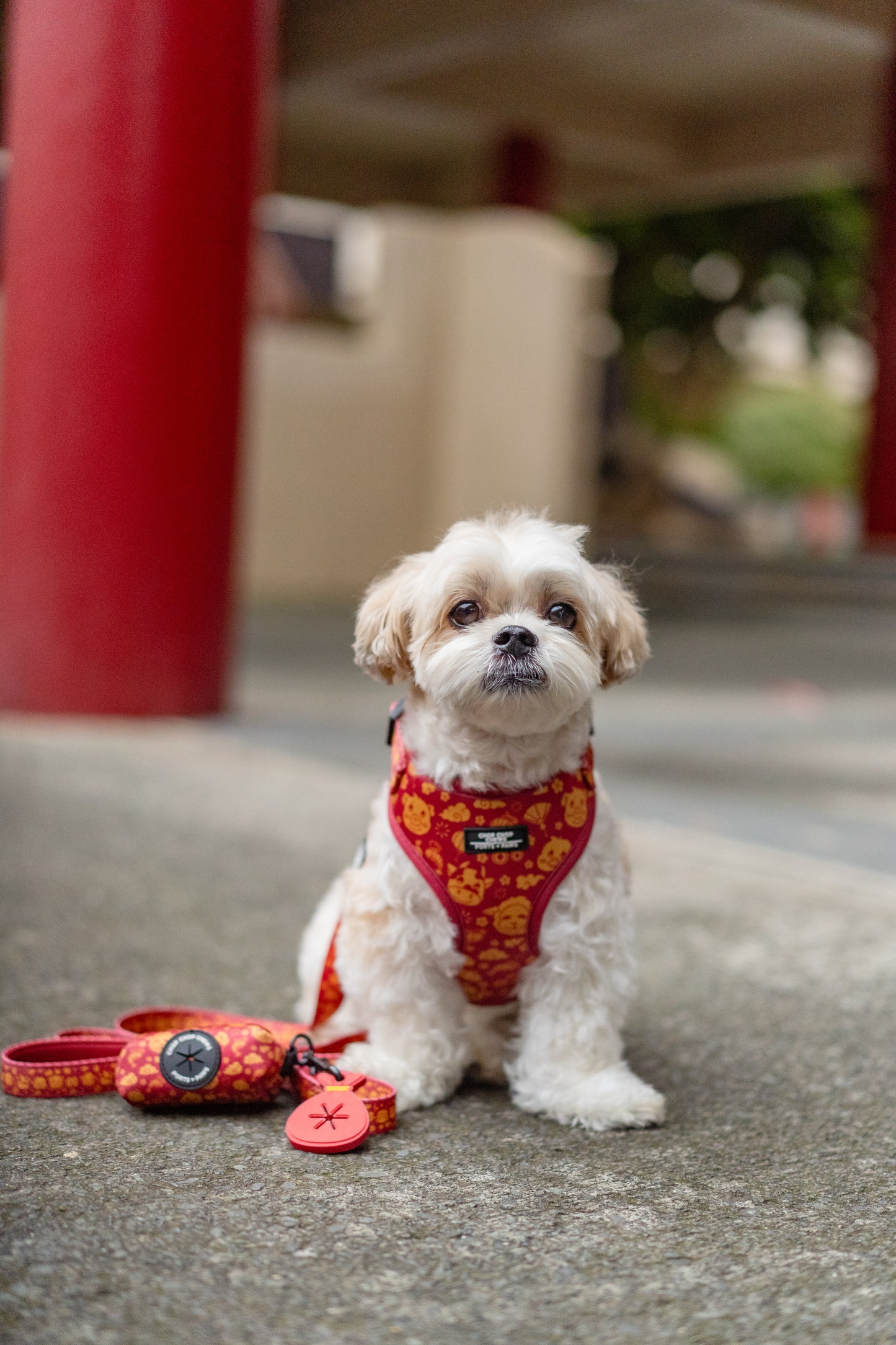 WALKIES BUNDLE - CHOP CHOP CHEWS LUNAR NEW YEAR