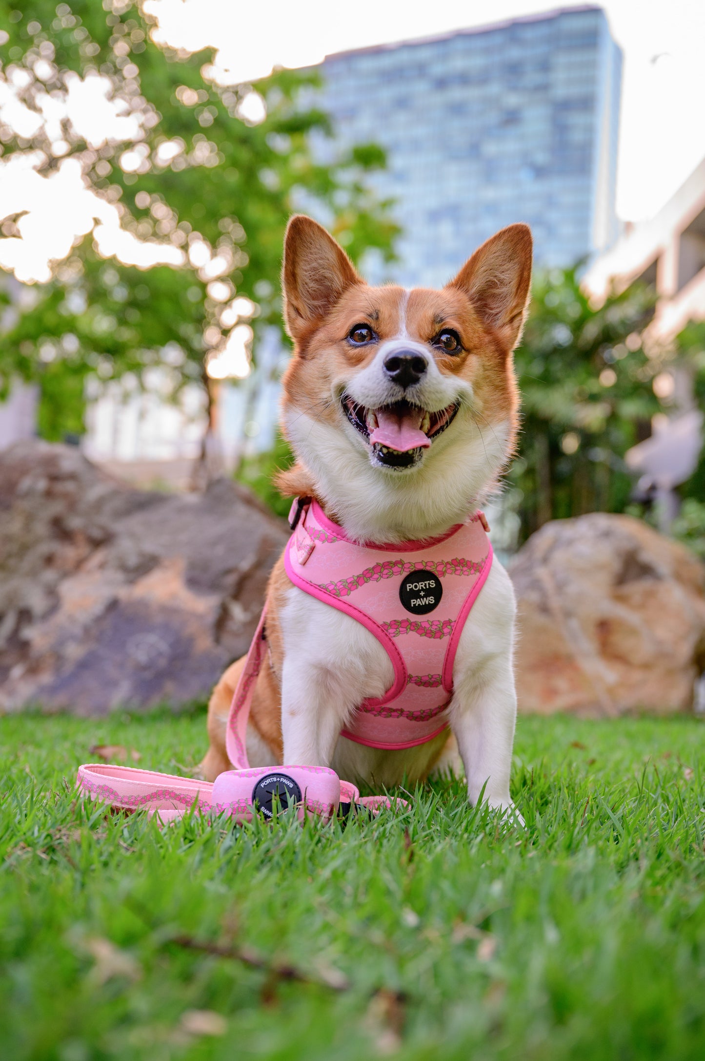 LEASH - LOKELANI LEI