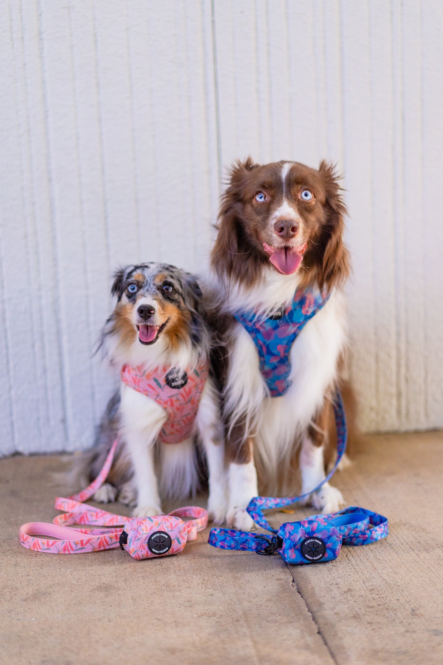 WALKIES + BANDANA BUNDLE - PORTER