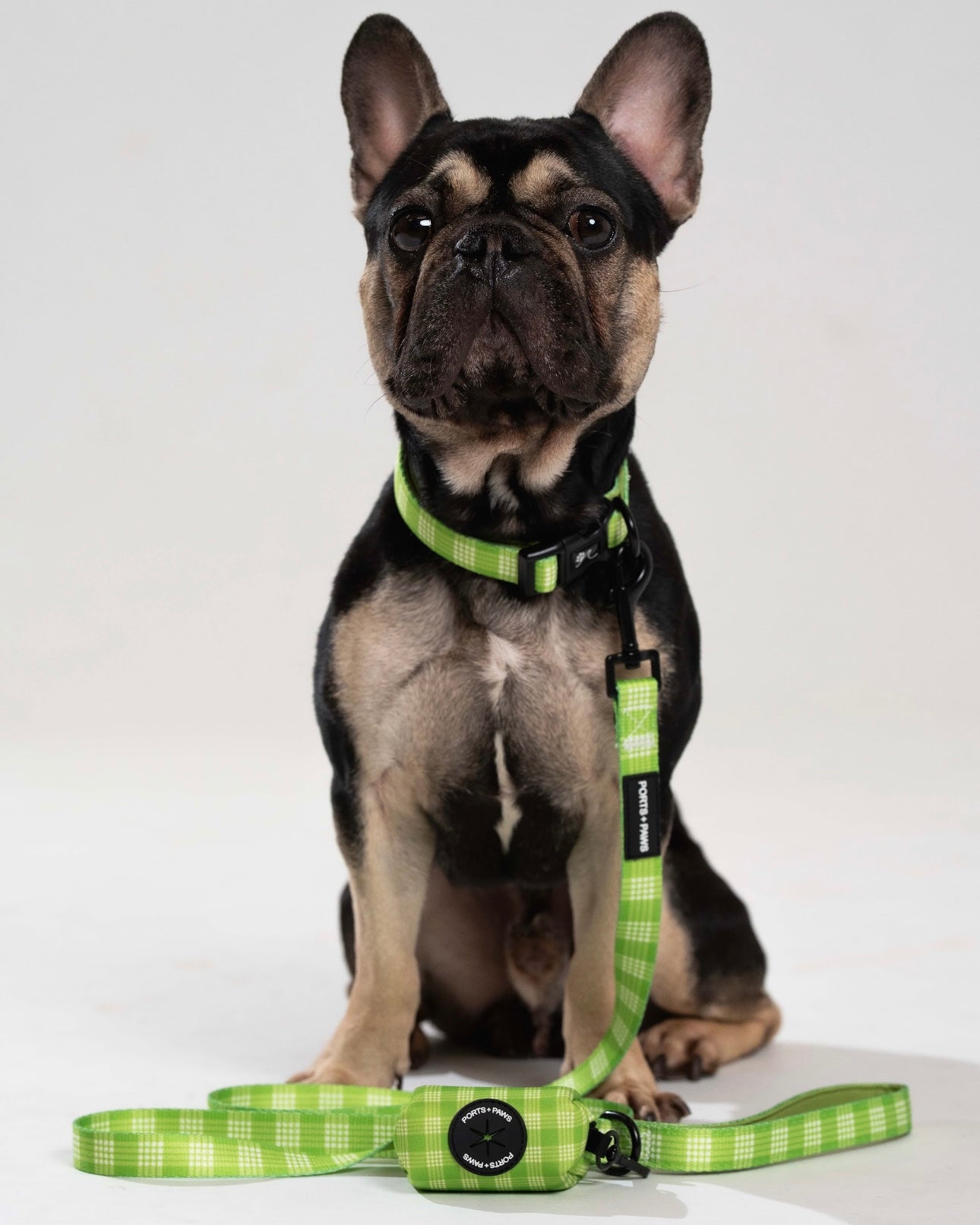 THREE PIECE BUNDLE - PALAKA LIME