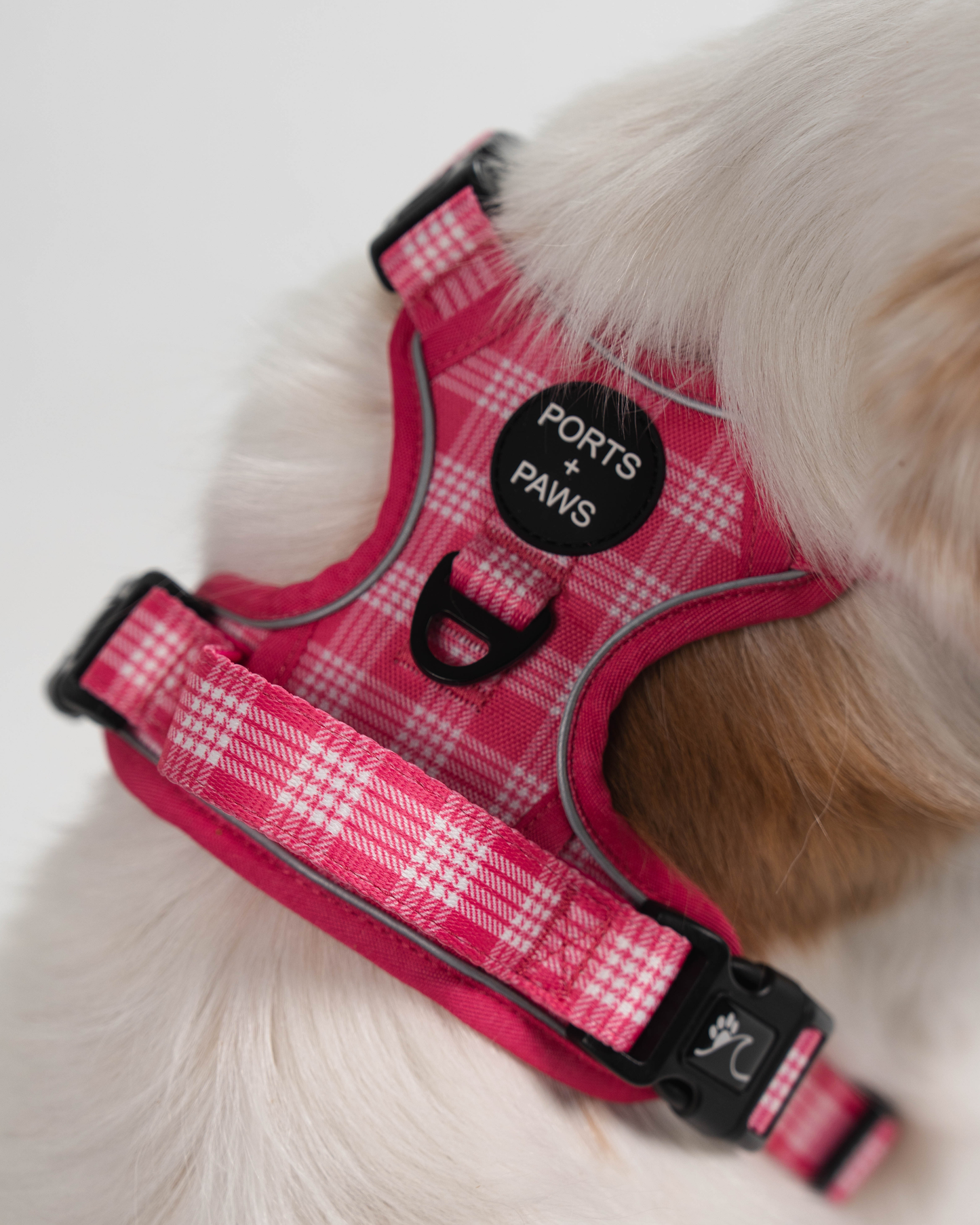 RUGGED HARNESS - PALAKA PINK