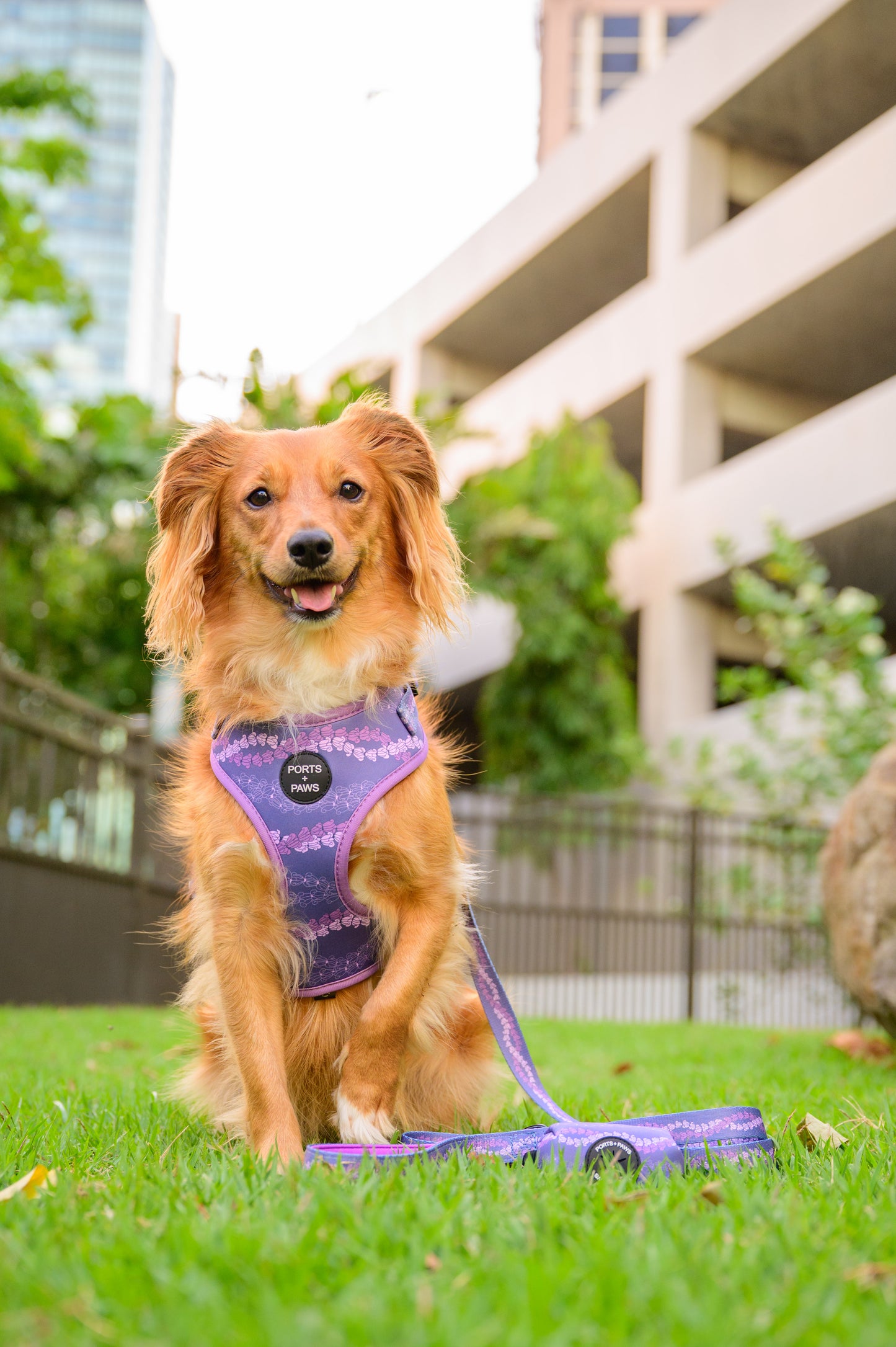 POOP BAG HOLDER - CROWN FLOWER LEI