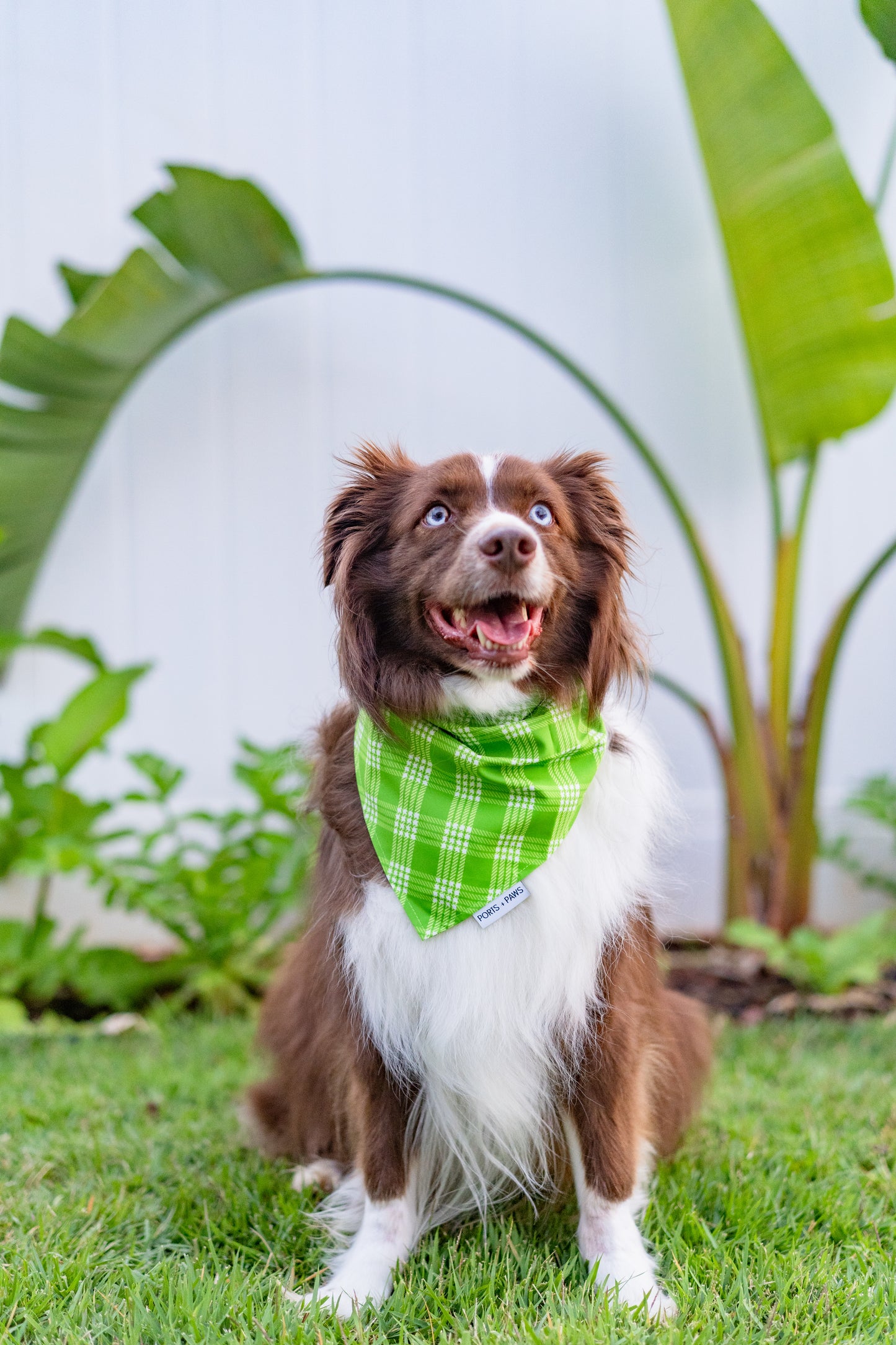 BUILD YOUR BEACH BUNDLE
