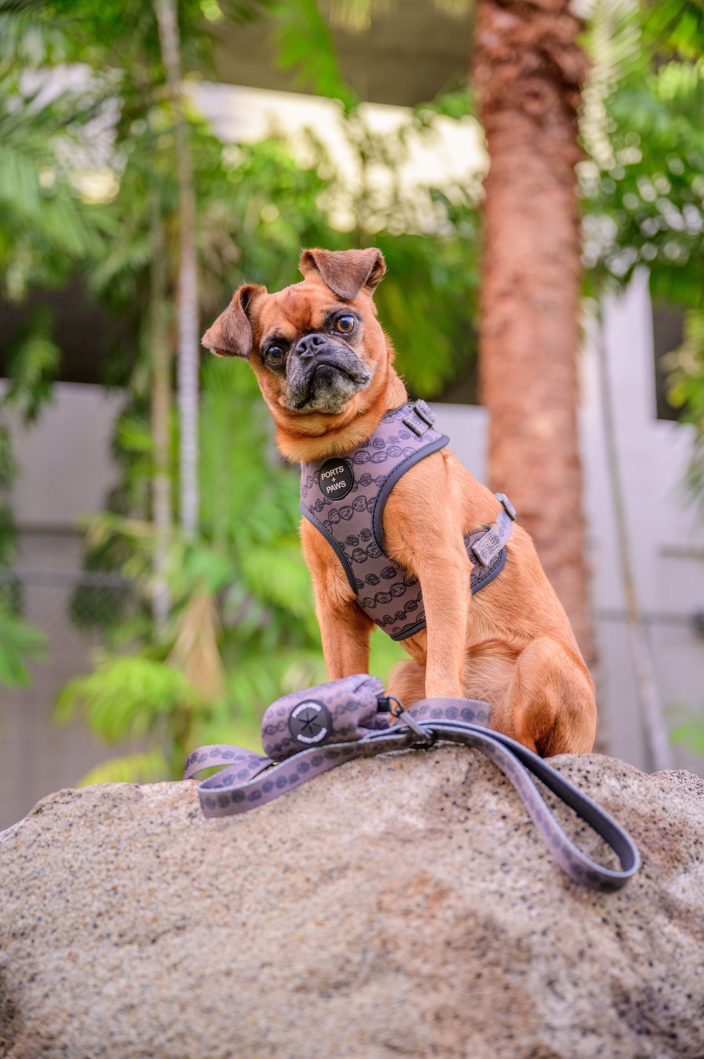 POOP BAG HOLDER - KUKUI NUT LEI