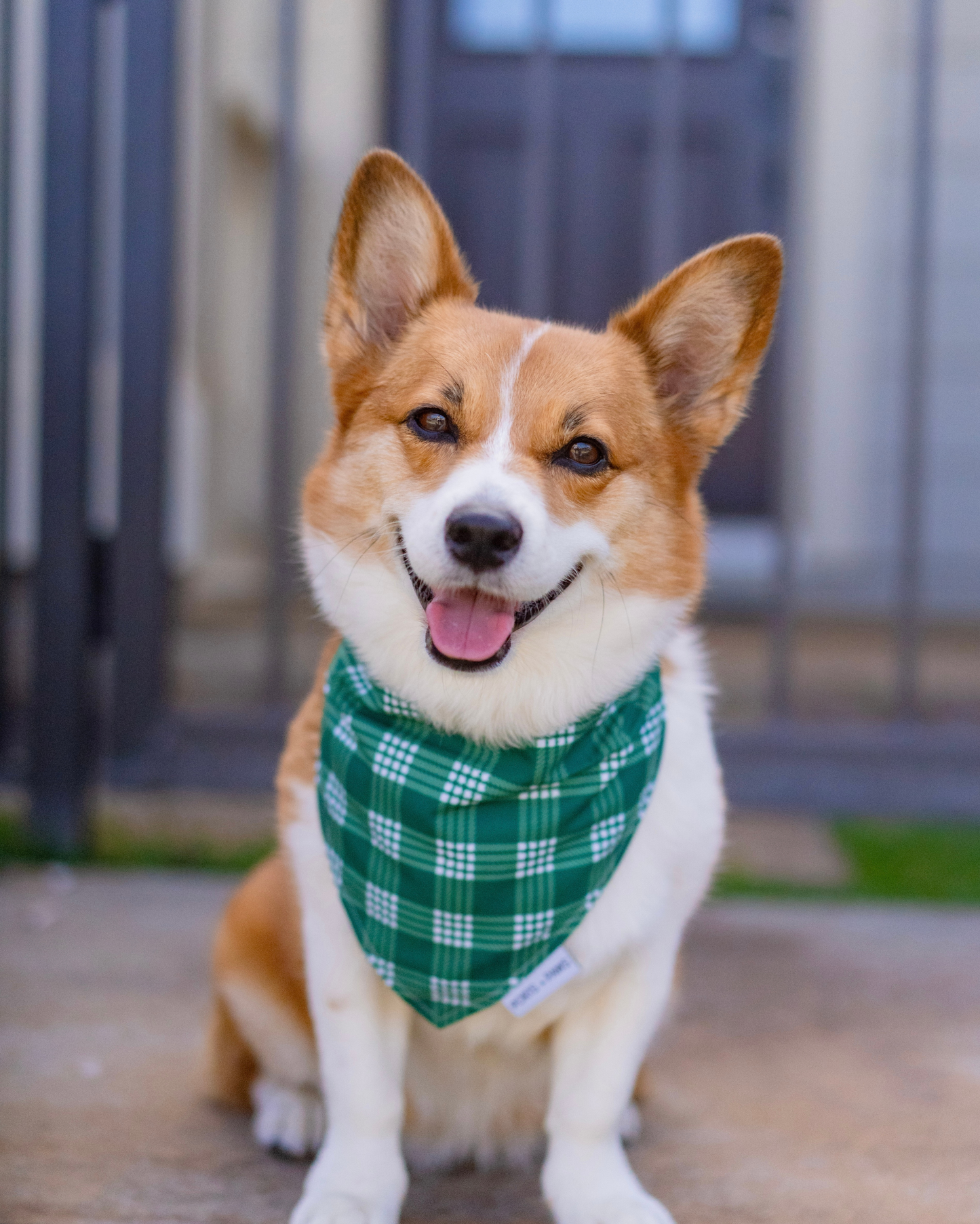 QUICK DRY BANDANA - PALAKA GREEN