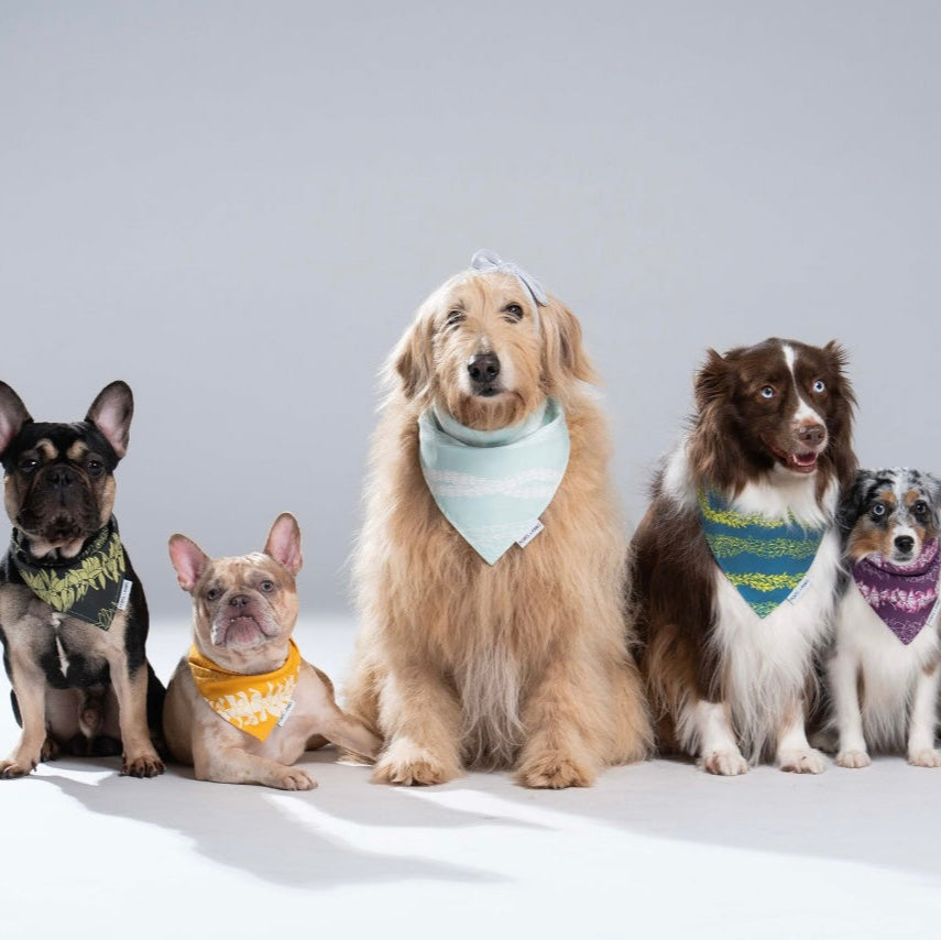 BANDANA BUNDLE - PICK 5 LEI