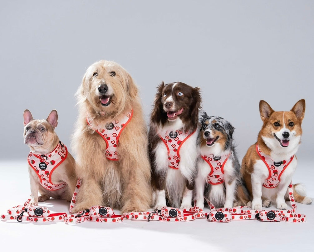 WALKIES + BANDANA BUNDLE - STRAWBERRY MOCHI