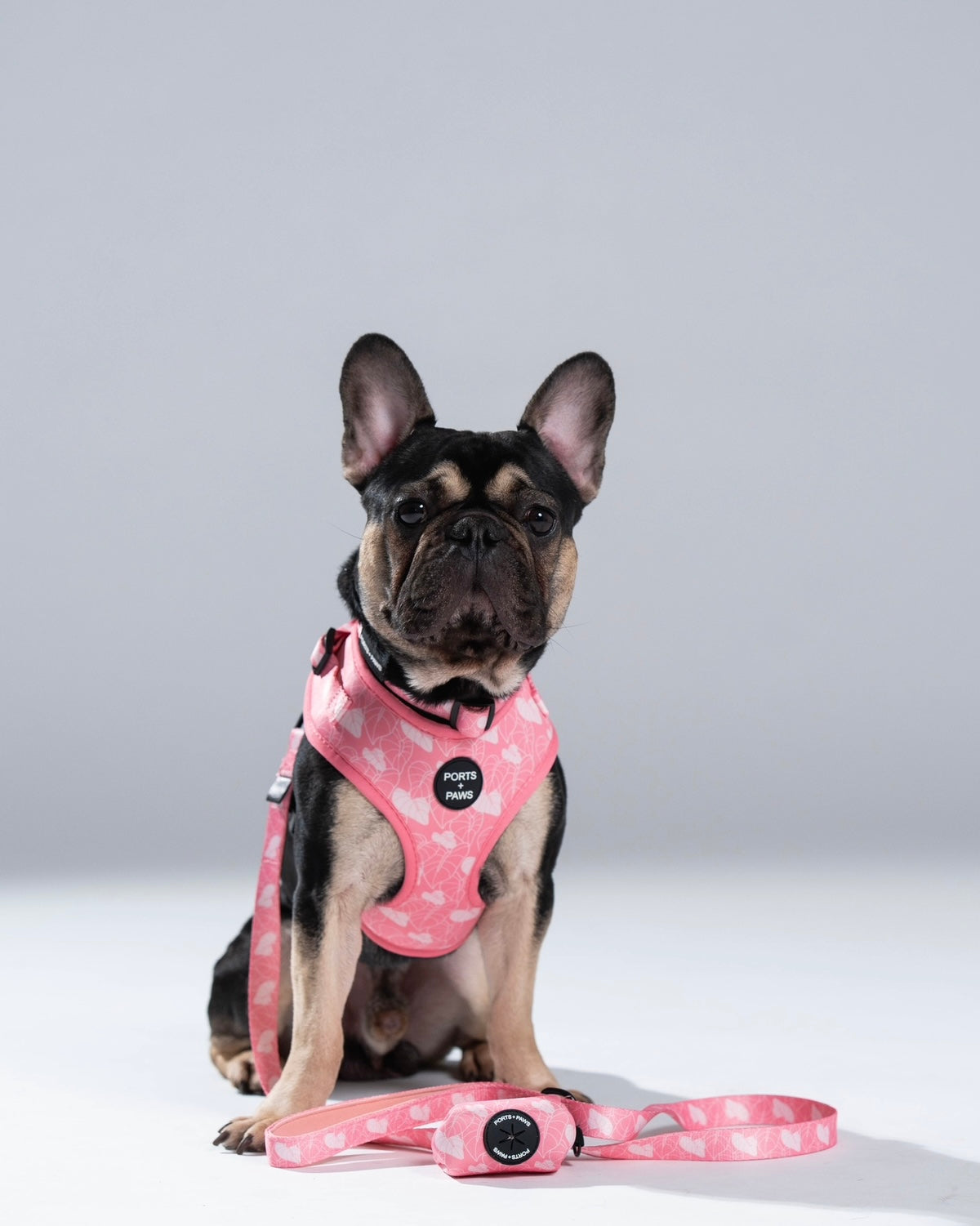 WALKIES BUNDLE - ANTHURIUM PINK