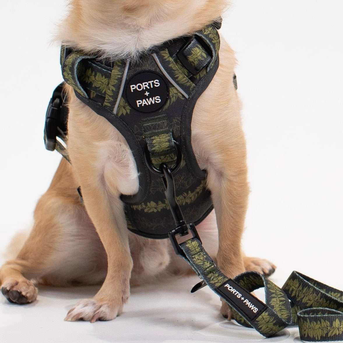 TWO PIECE BUNDLE - RUGGED HARNESS MAILE