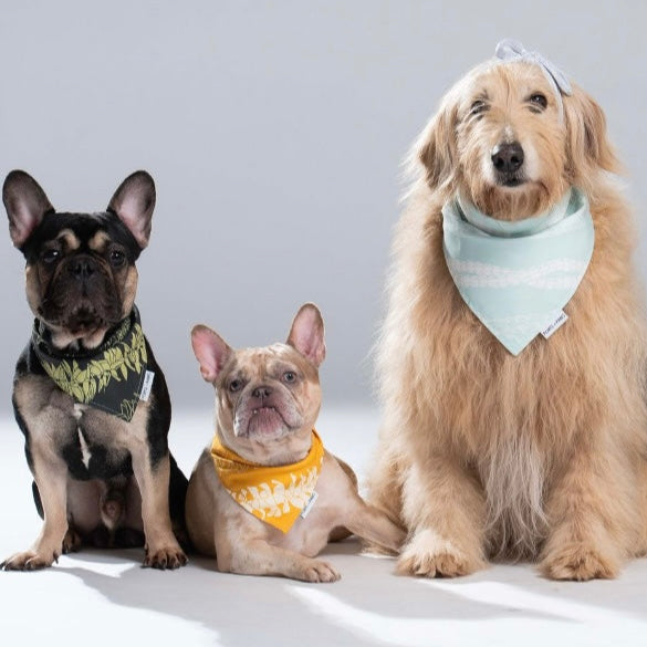 BANDANA BUNDLE - PICK 3 LEI