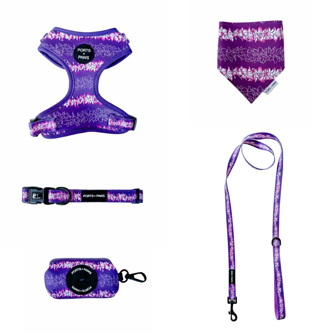 WALKIES + BANDANA BUNDLE - ORCHID