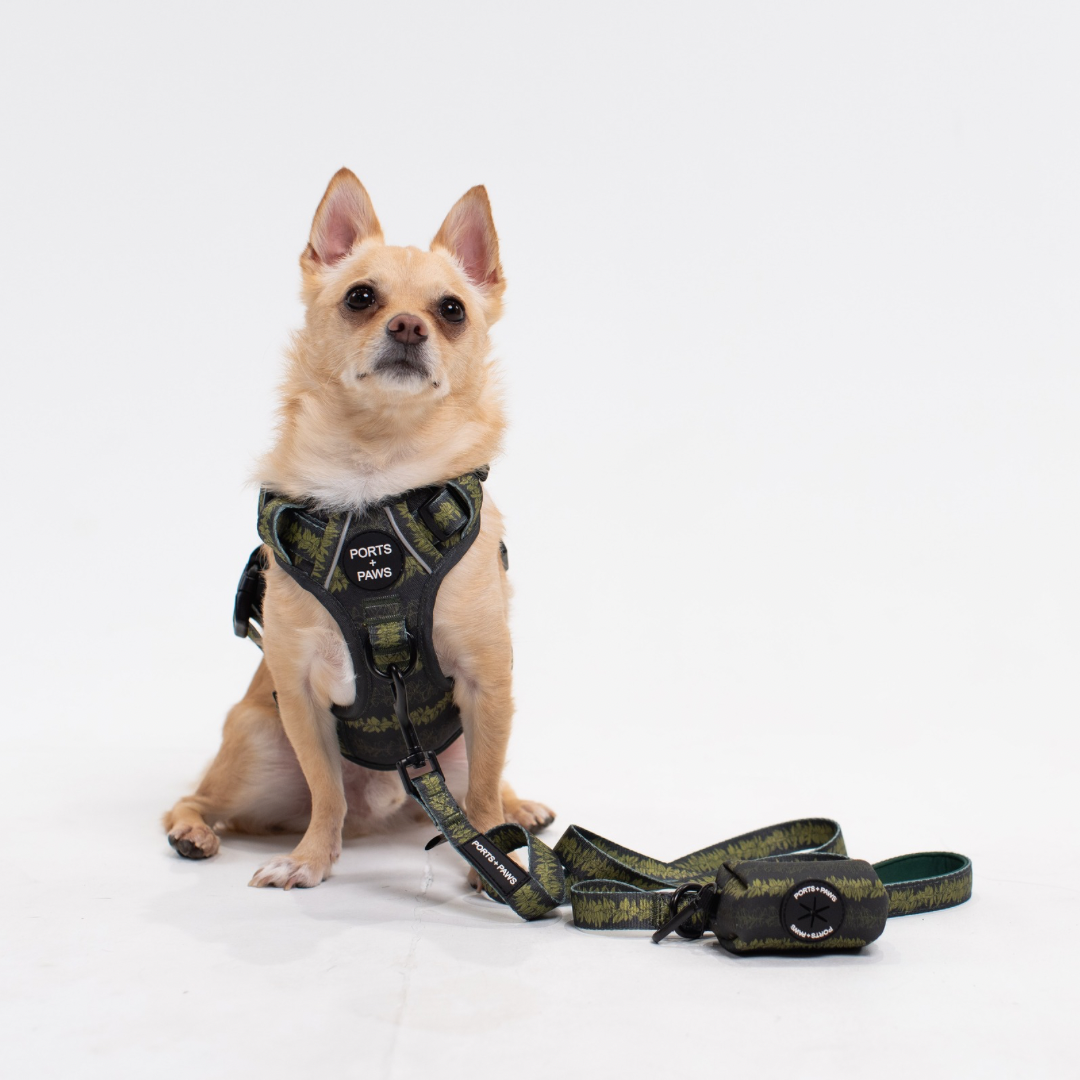 WALKIES + BANDANA BUNDLE - RUGGED HARNESS MAILE
