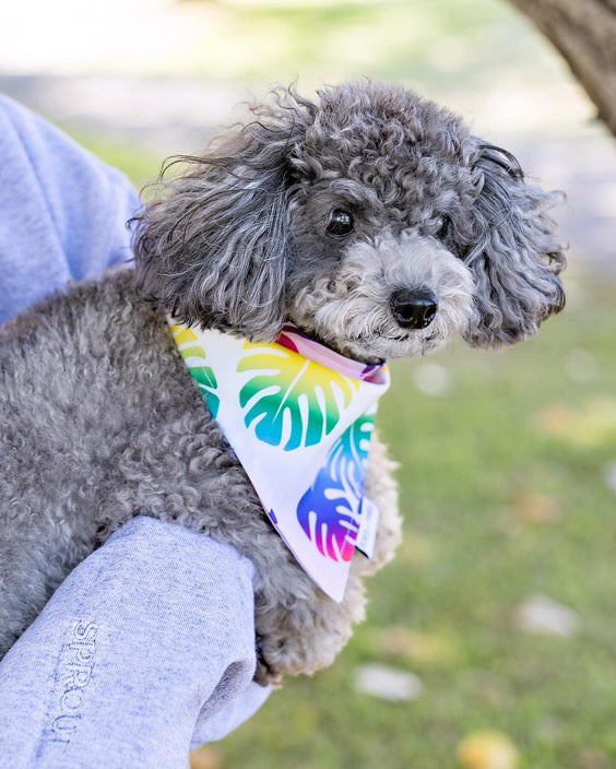 SWEATSHIRT - CUSTOM DOG DAD IN GREY