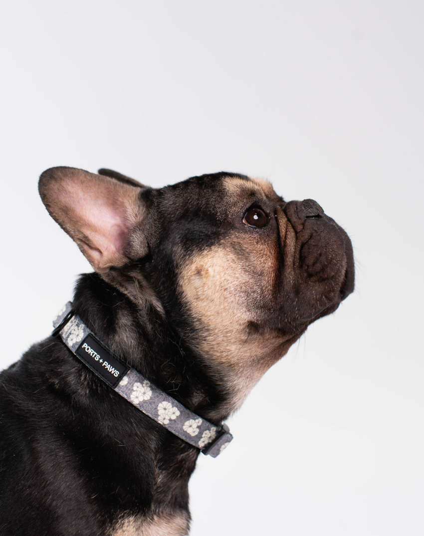 COLLAR - KAHOʻOLAWE HINAHINA