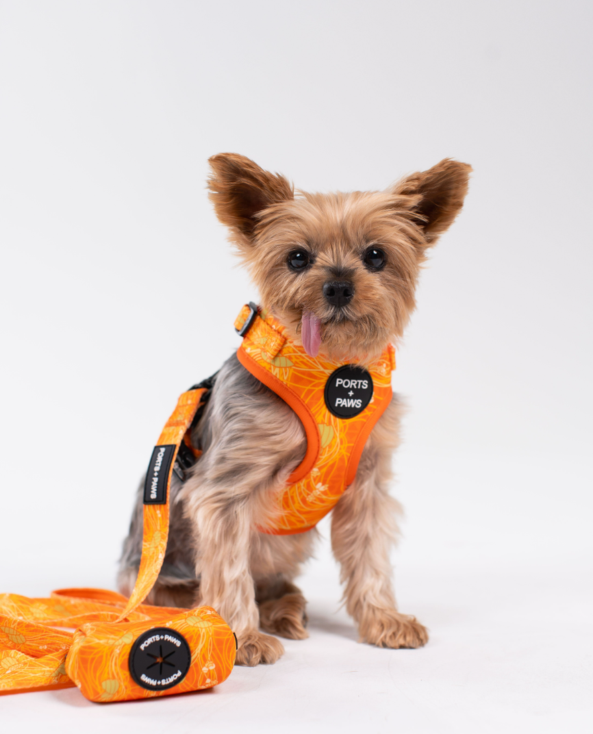 POOP BAG HOLDER - LĀNAʻI KAUNAʻOA