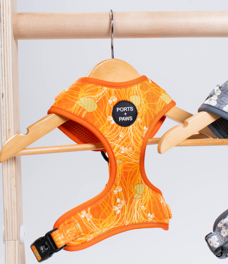 ADJUSTABLE HARNESS - LĀNAʻI KAUNAʻOA
