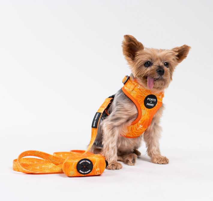 WALKIES BUNDLE - LĀNAʻI KAUNAʻOA