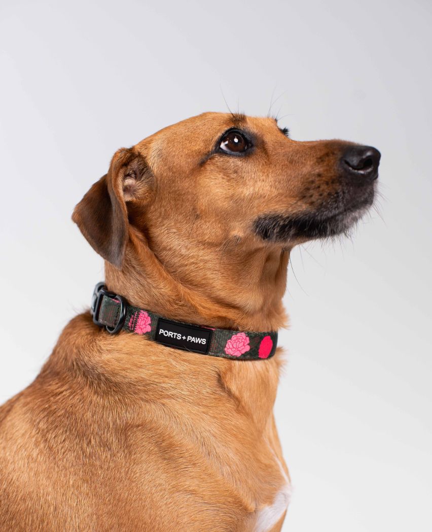 COLLAR - MAUI LOKELANI ROSE