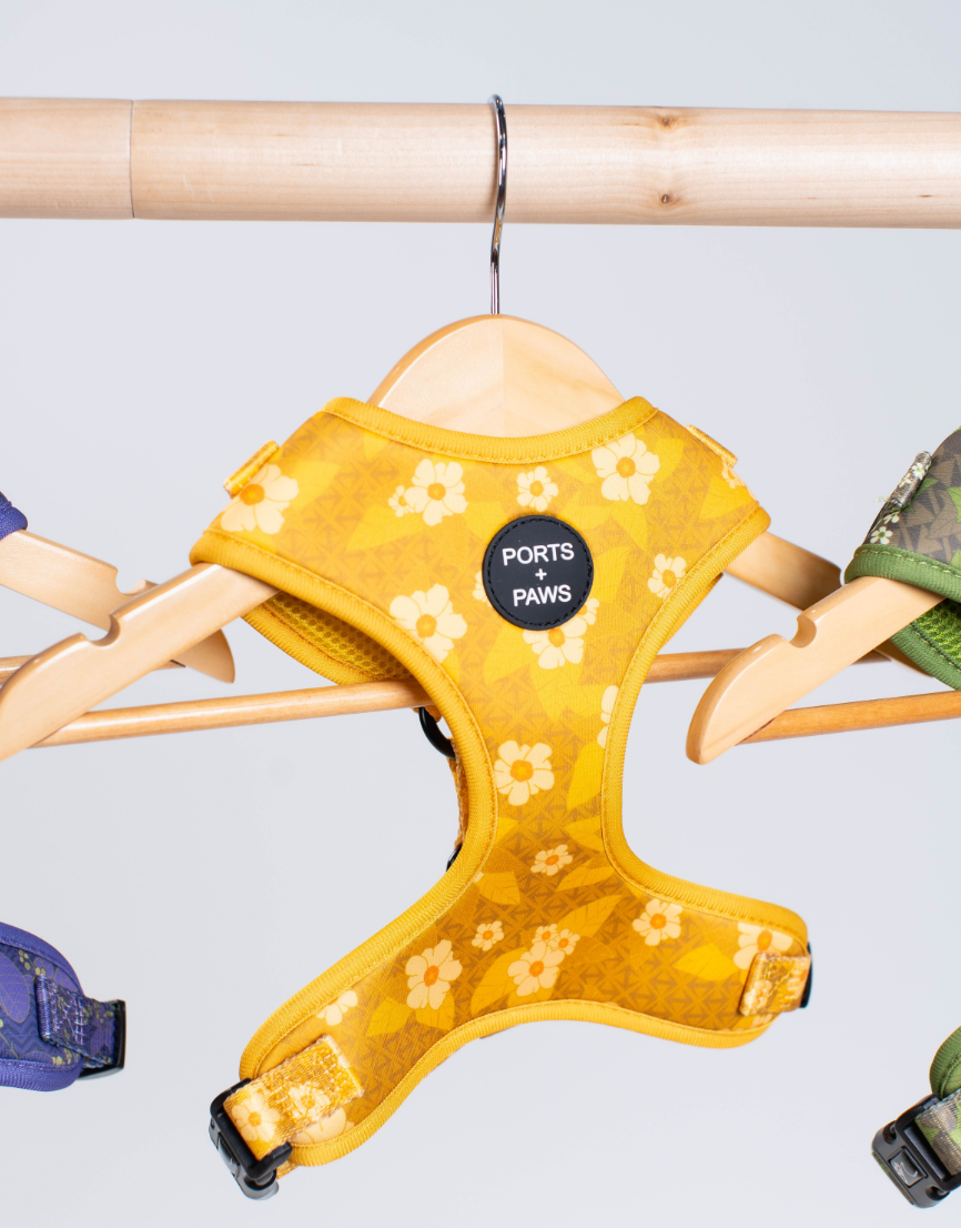 ADJUSTABLE HARNESS - OʻAHU ʻILIMA