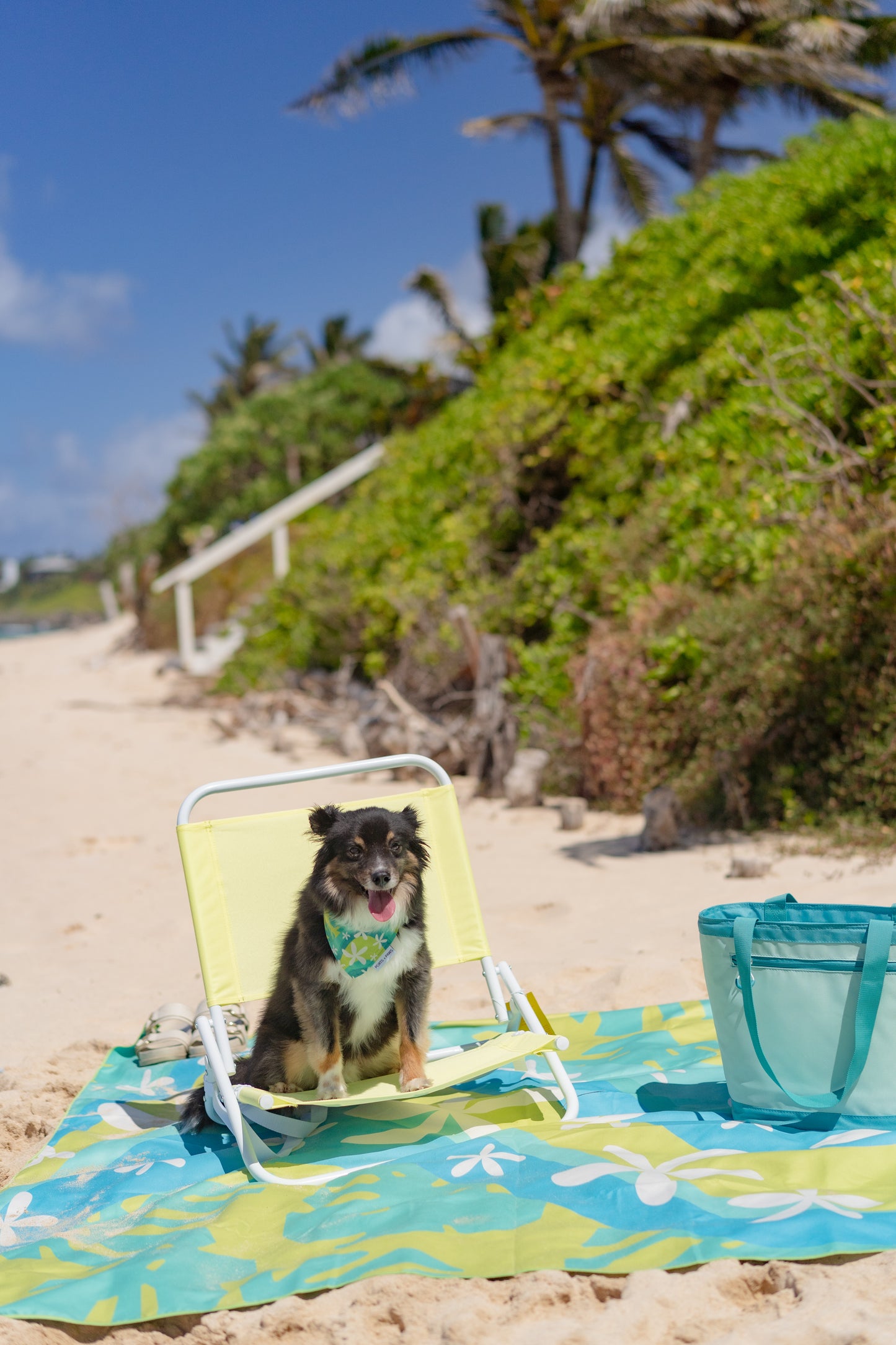 QUICK DRY BANDANA - ISLAND BREEZE GREEN RIVER