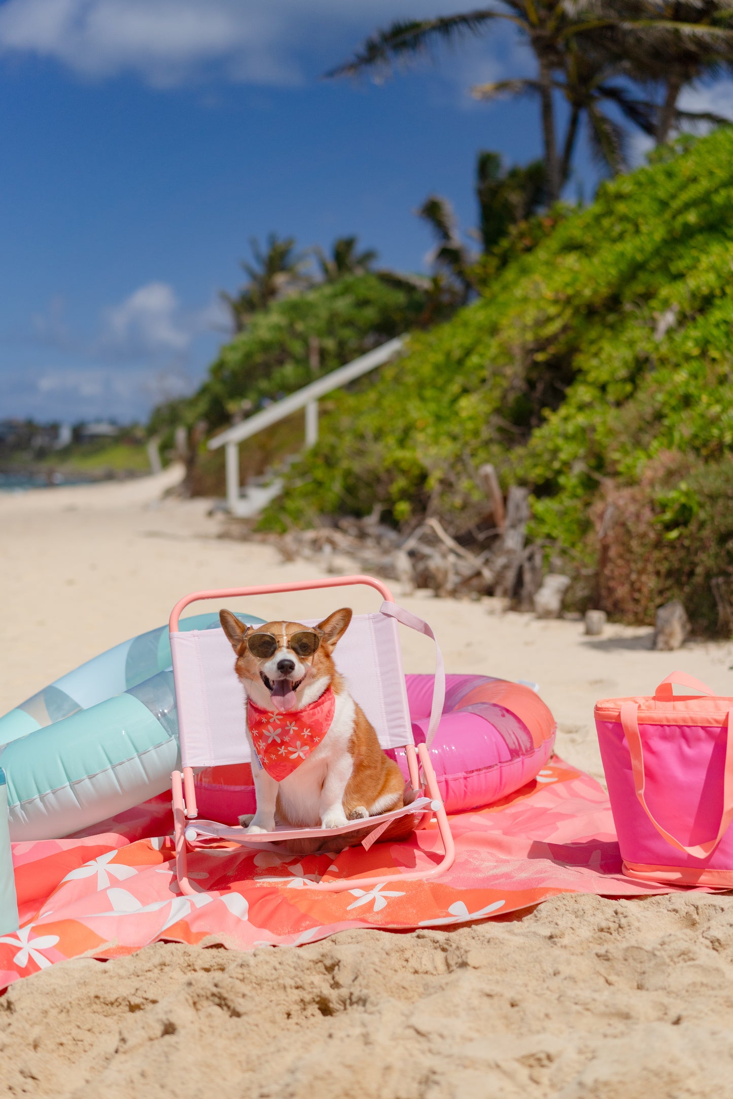 XL TOWEL - ISLAND BREEZE POG