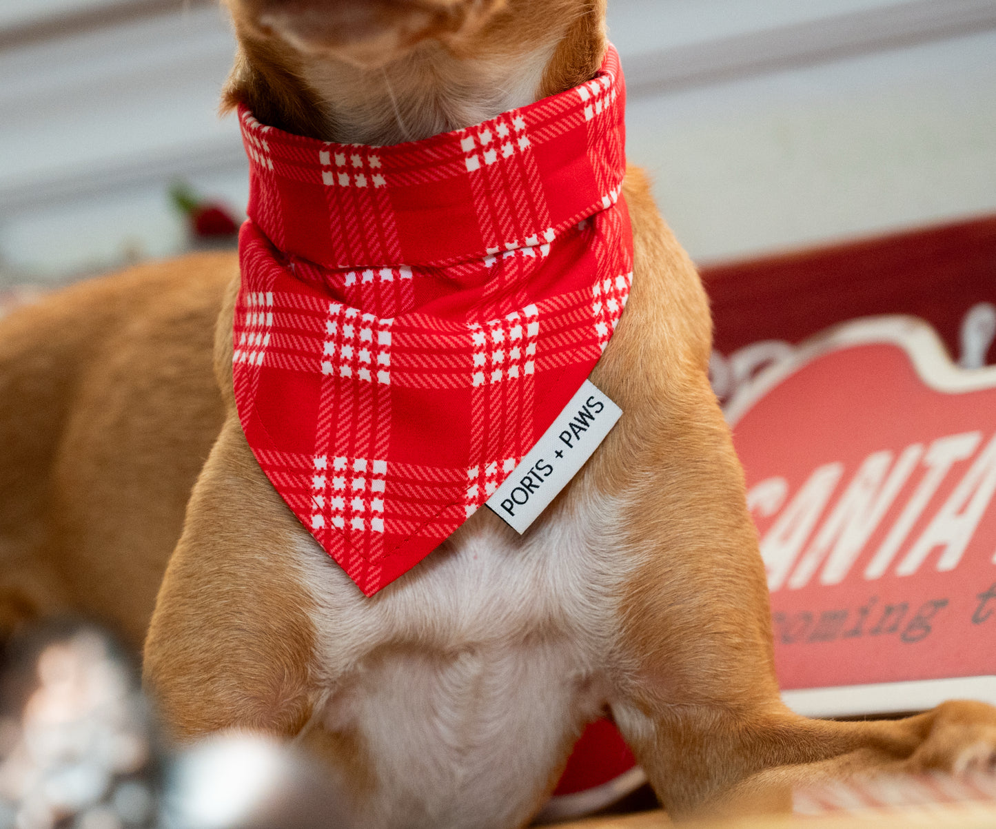 QUICK DRY BANDANA - PALAKA RED