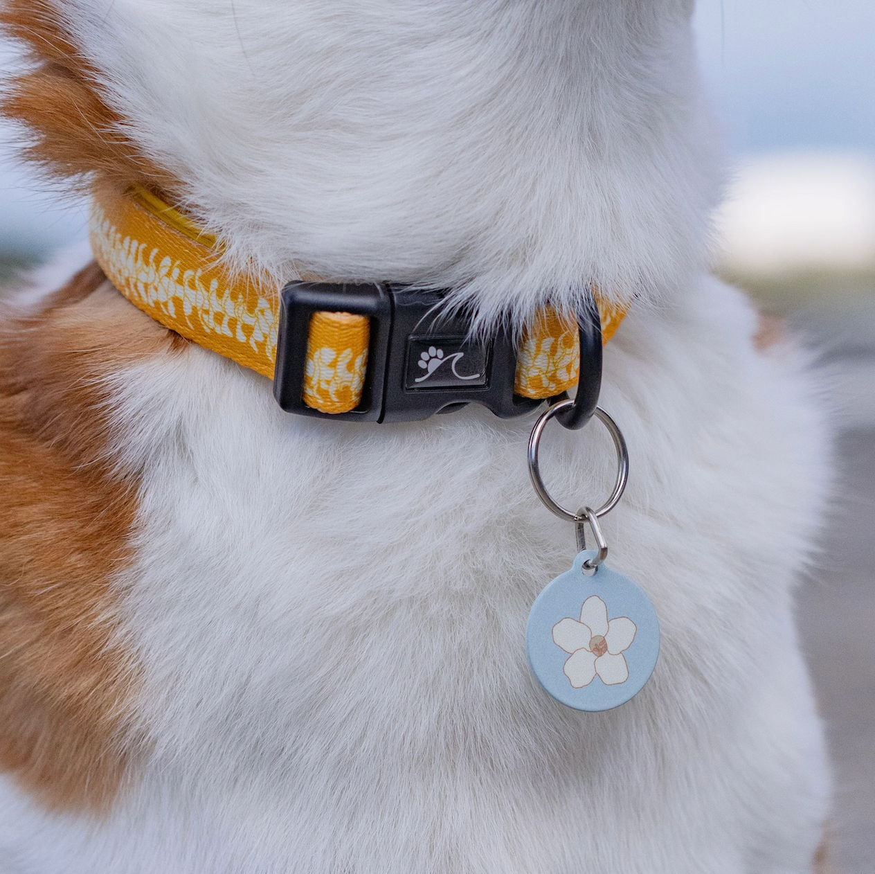 PET TAGS