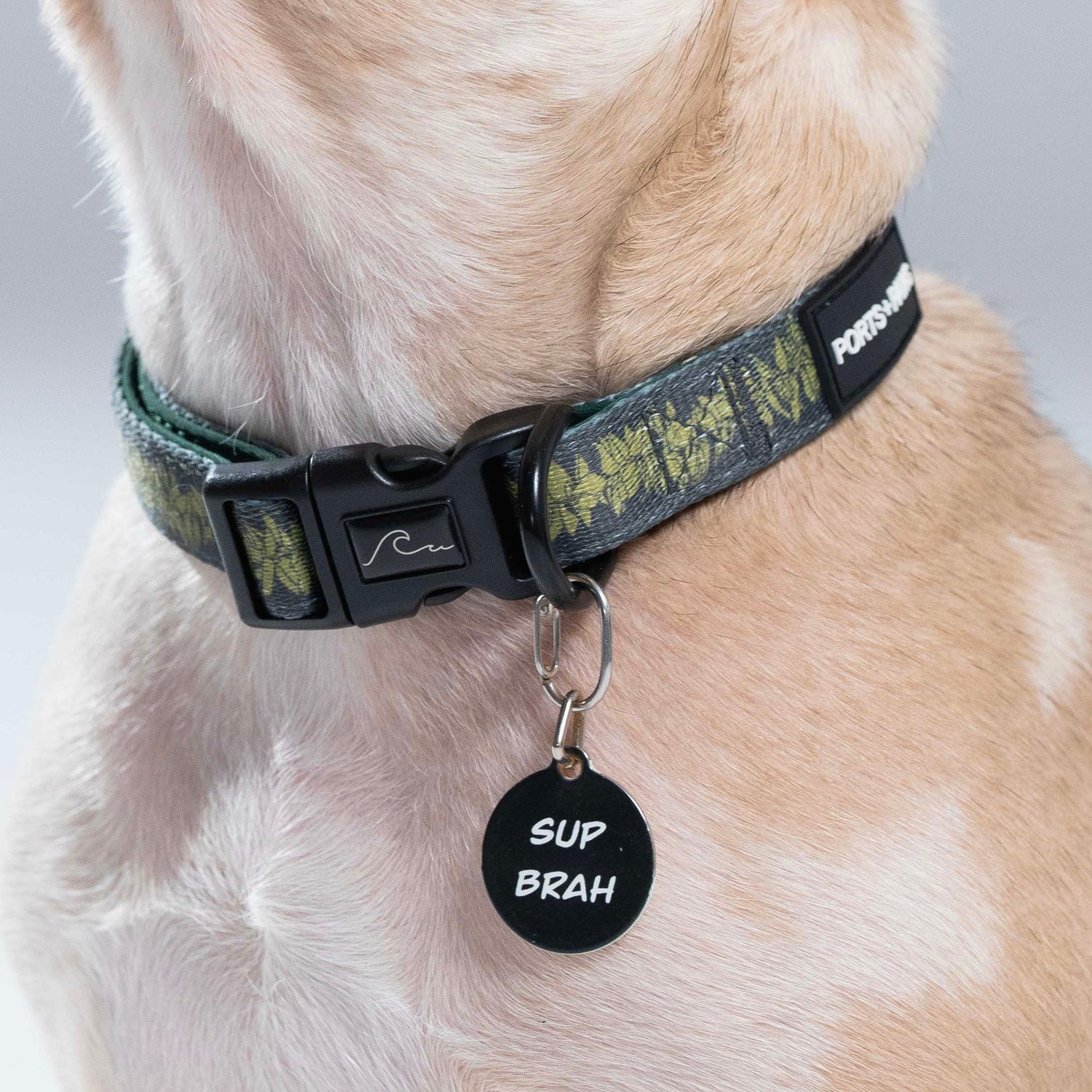 PET TAGS