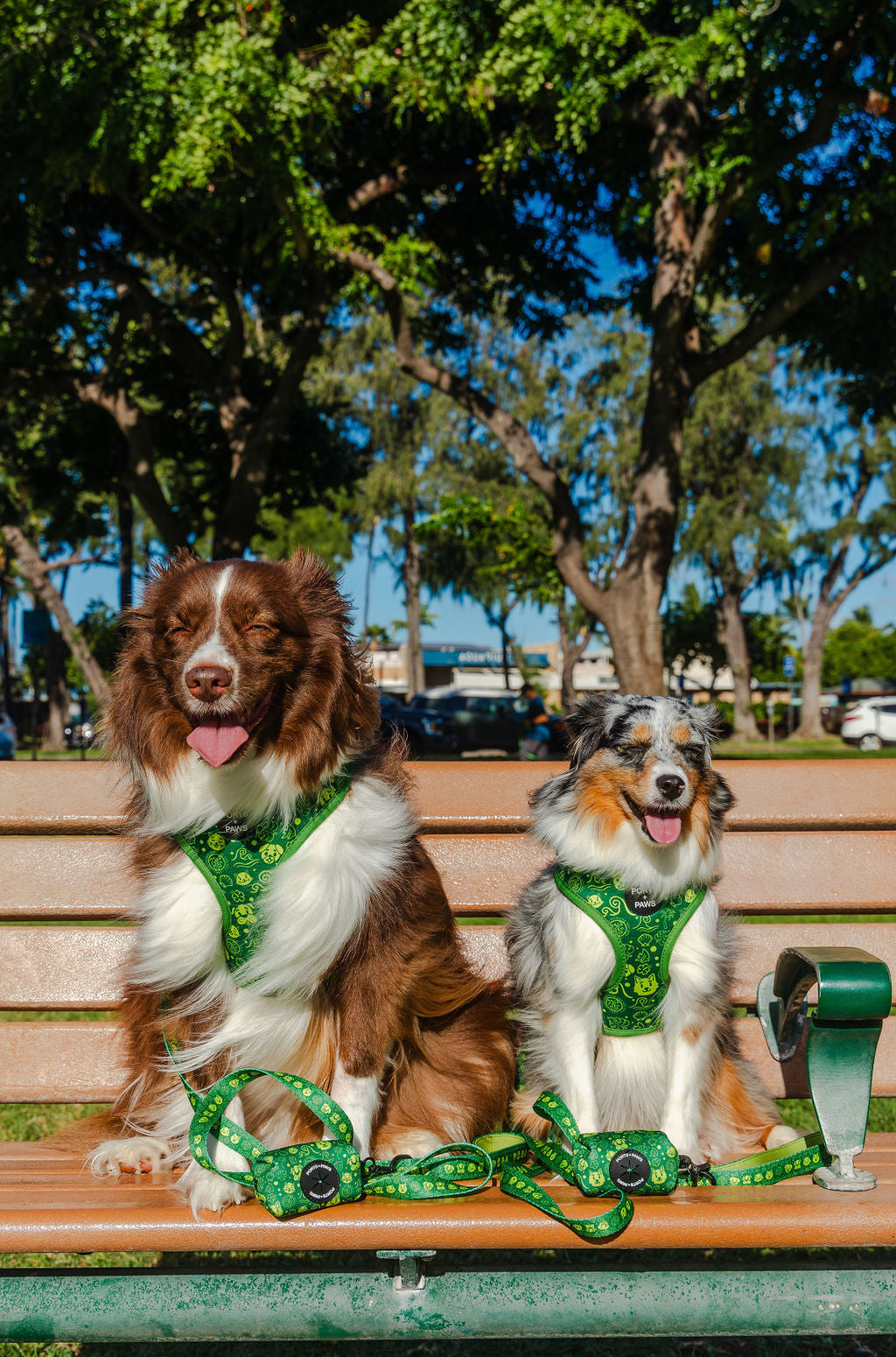 ADJUSTABLE HARNESS - HAWAIIAN HUMANE SOCIETY