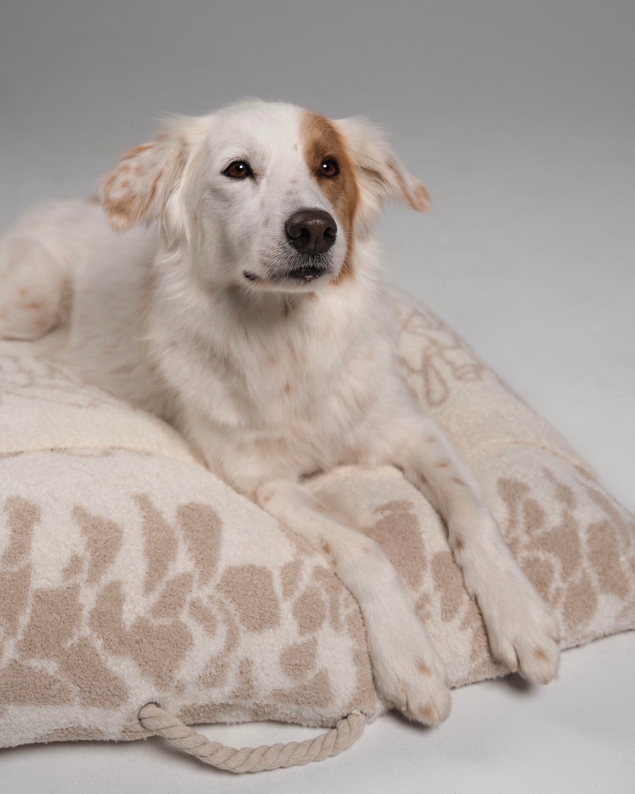 COZY DOG BED - PUAKENIKENI