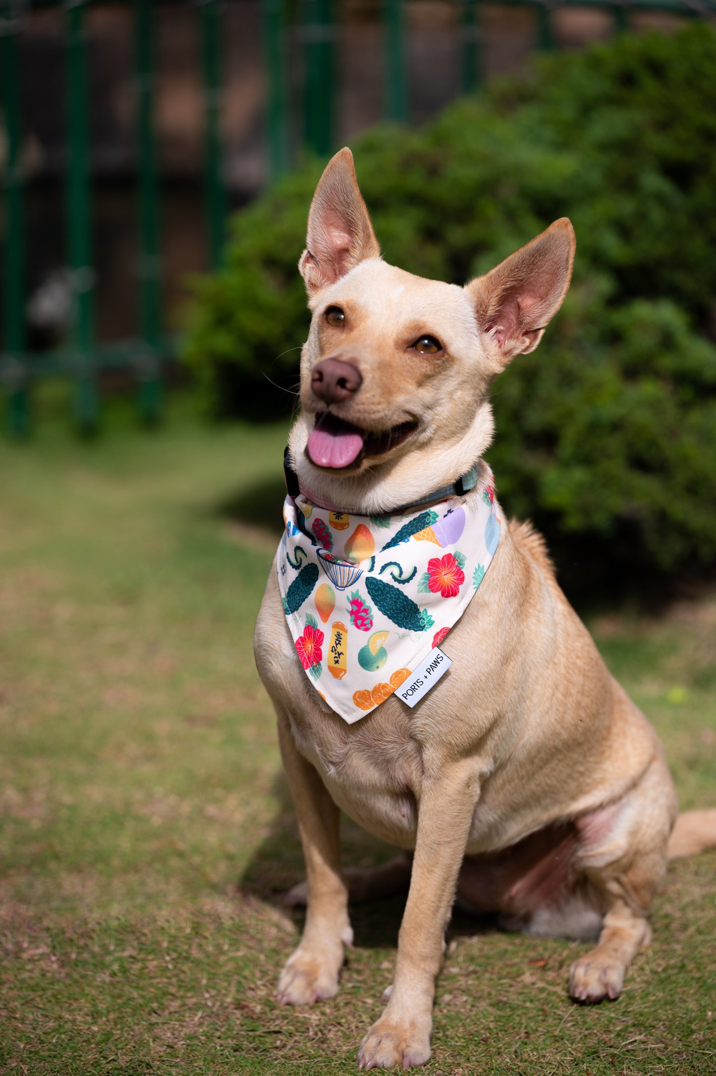 QUICK DRY BANDANA - OKINAWAN FESTIVAL SAND