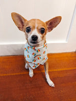 QUICK DRY BANDANA - RAINBOW SHAVE ICE