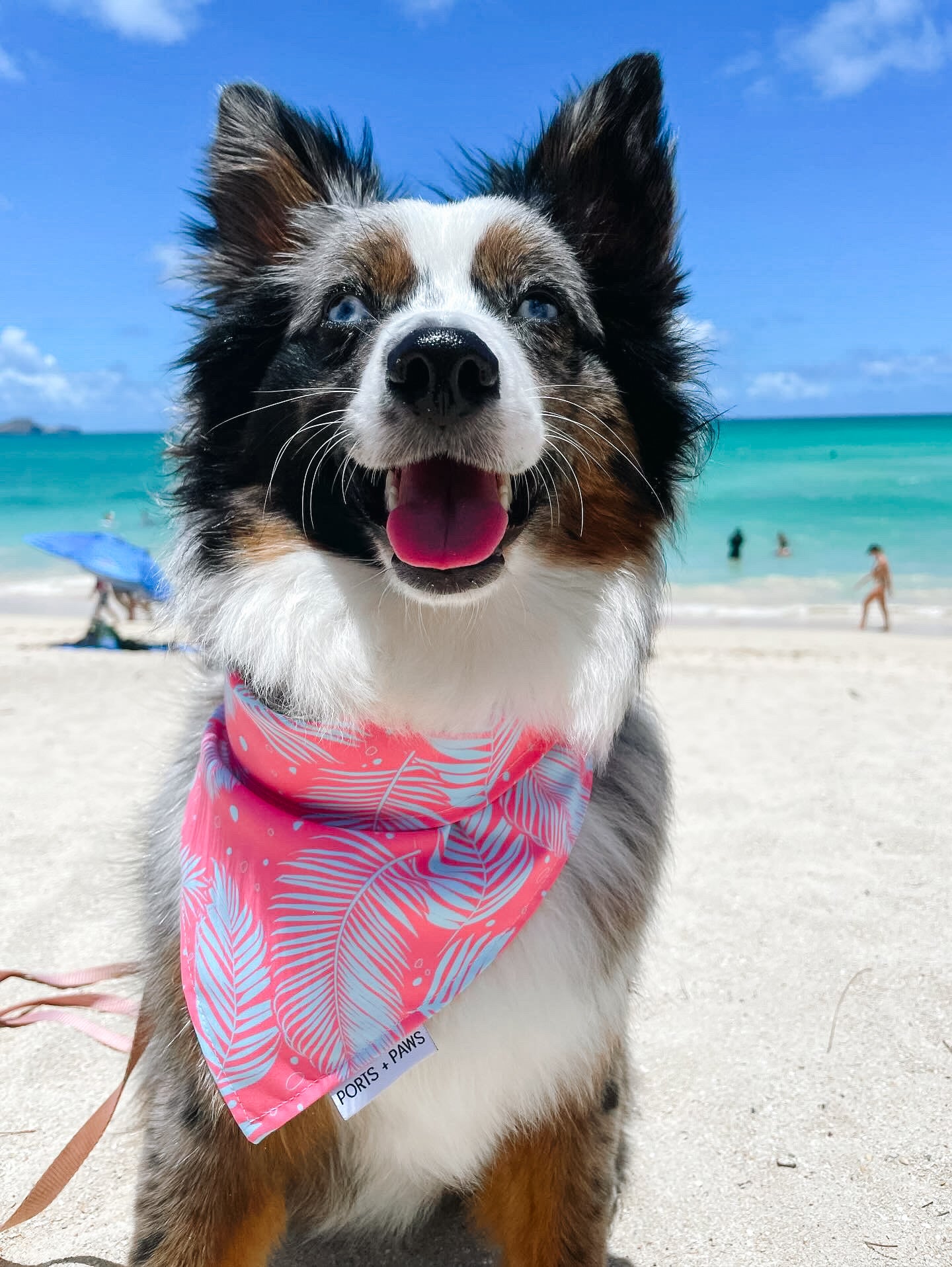 QUICK DRY BANDANA - PALM PINK/BLUE