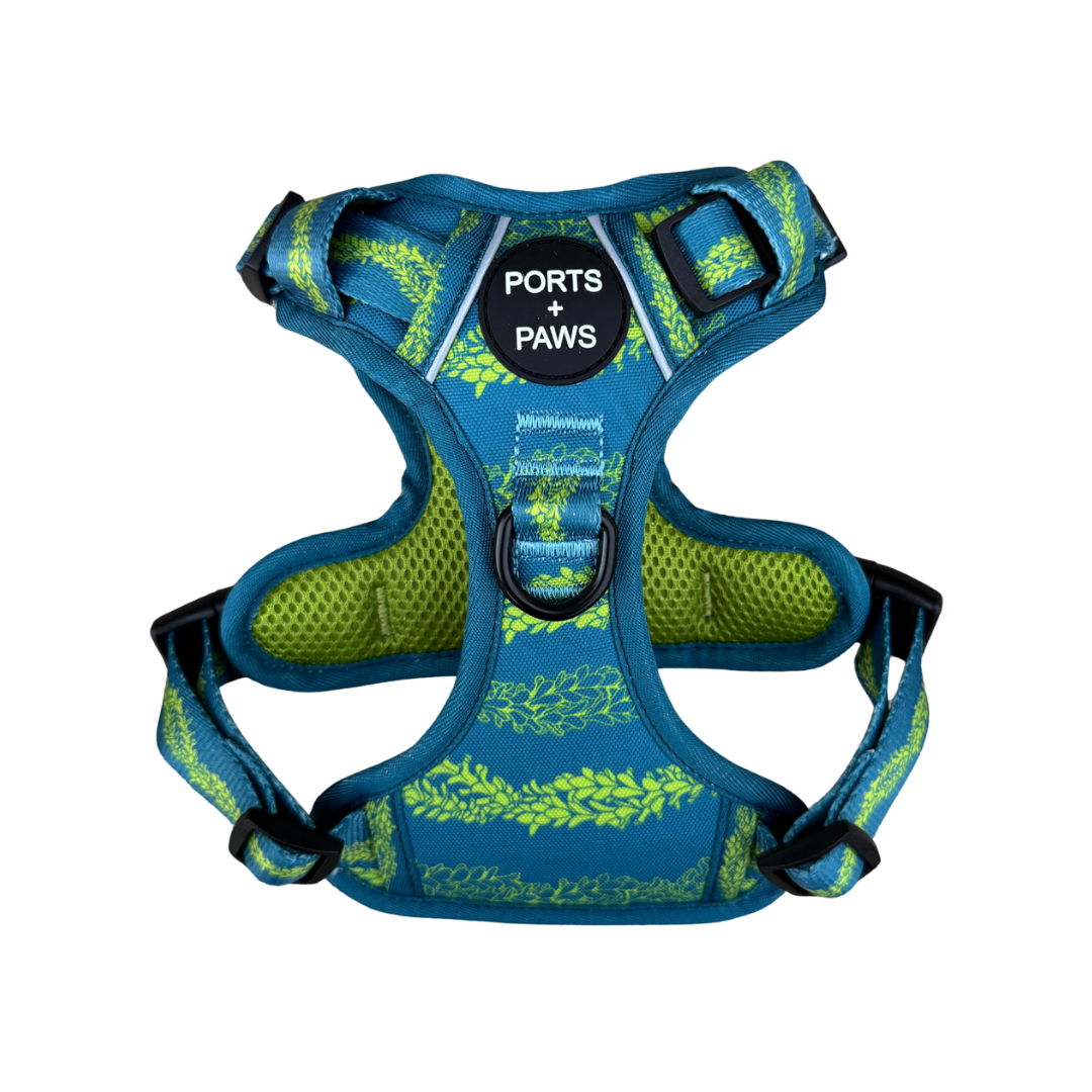 RUGGED HARNESS - PAKALANA