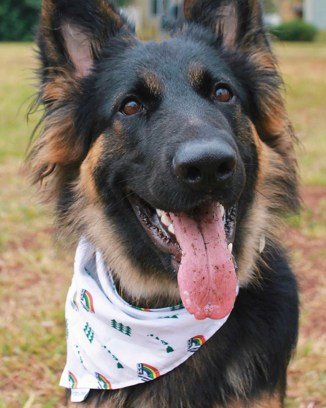 QUICK DRY BANDANA - UH VINTAGE WHITE