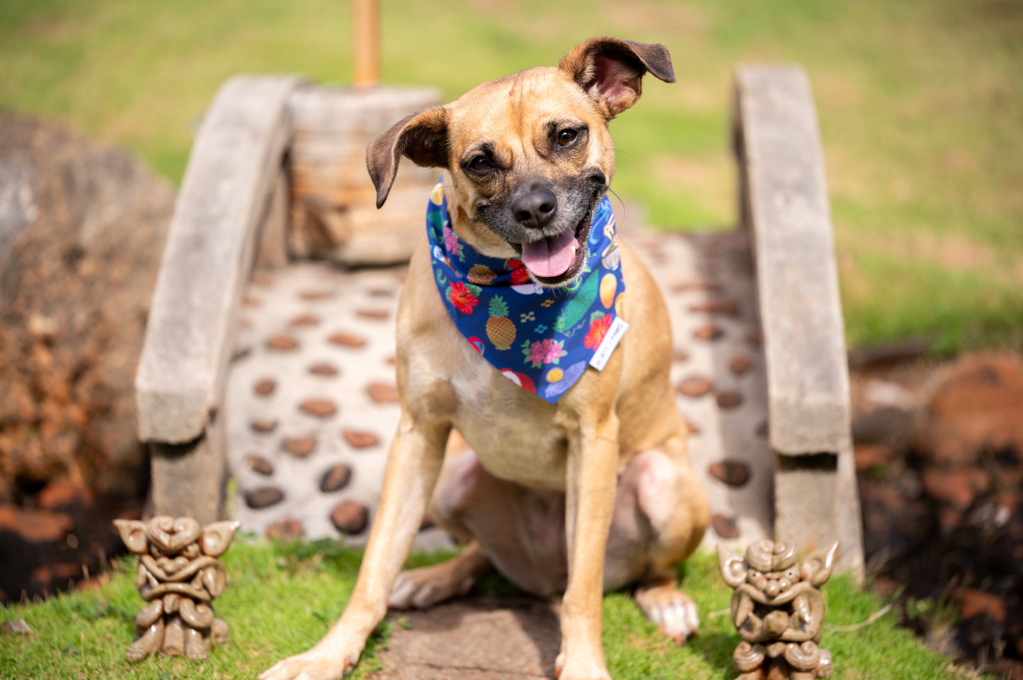 QUICK DRY BANDANA - OKINAWAN FESTIVAL NAVY