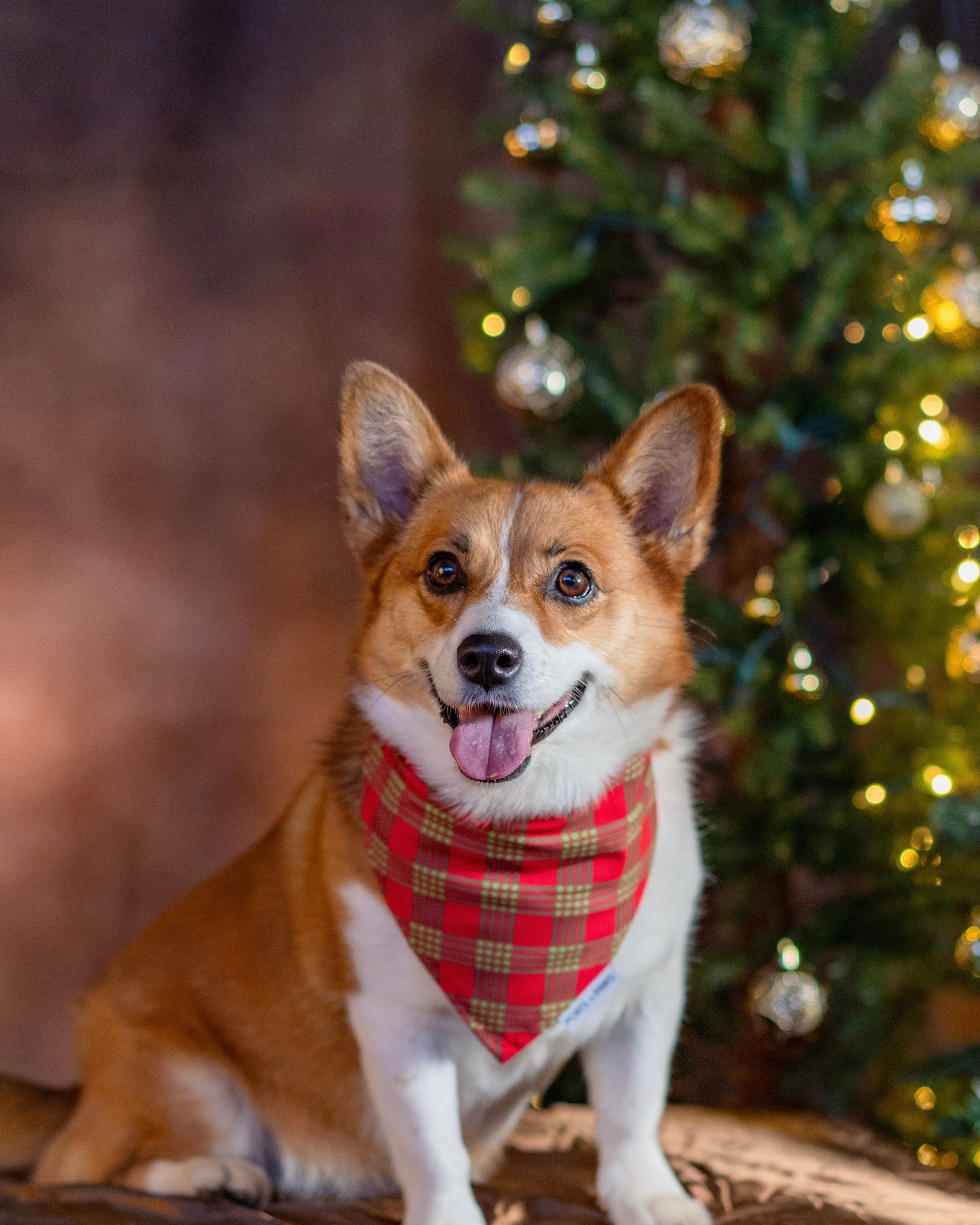 QUICK DRY BANDANA - PALAKA CHRISTMAS