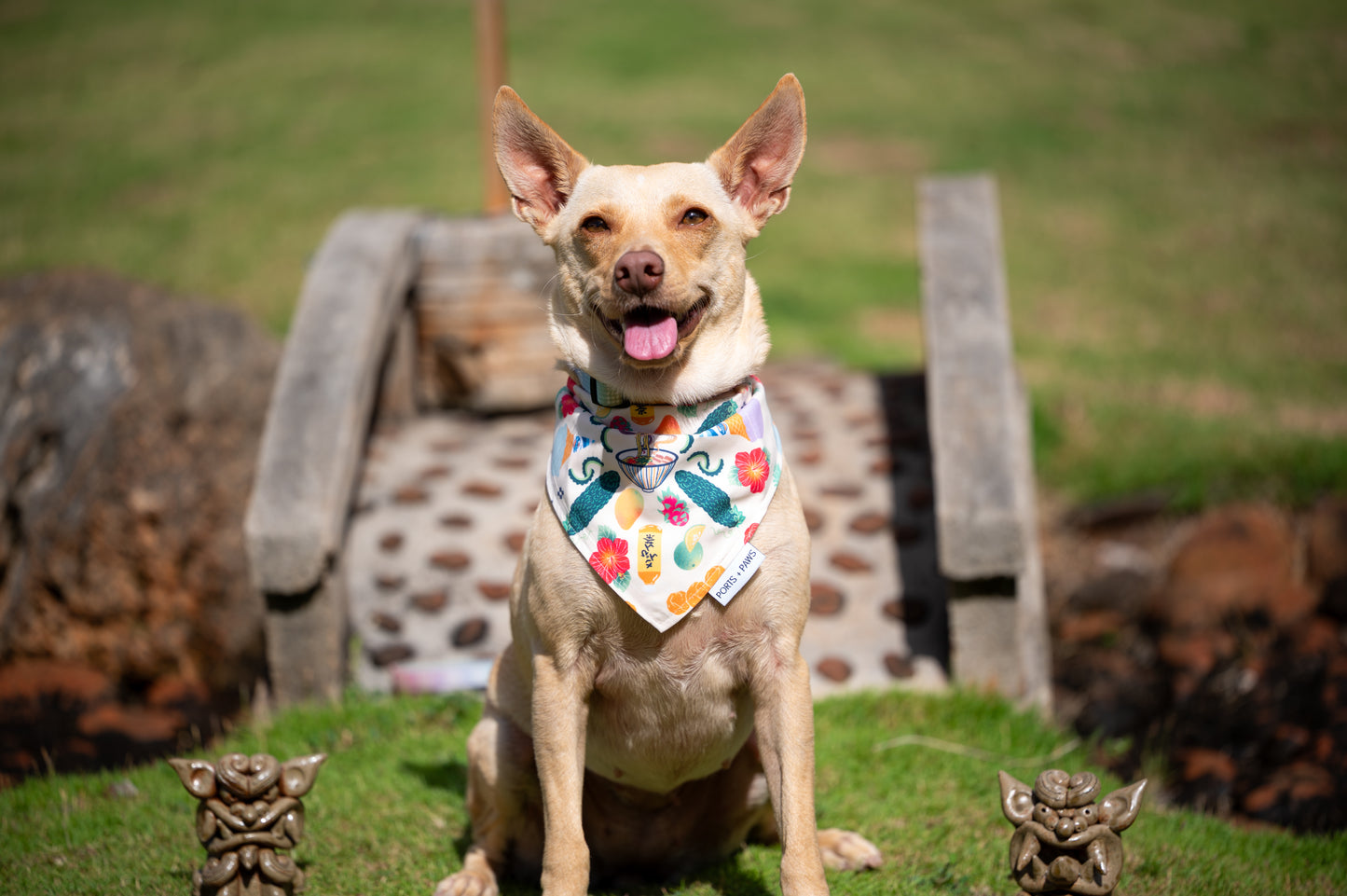 QUICK DRY BANDANA - OKINAWAN FESTIVAL SAND