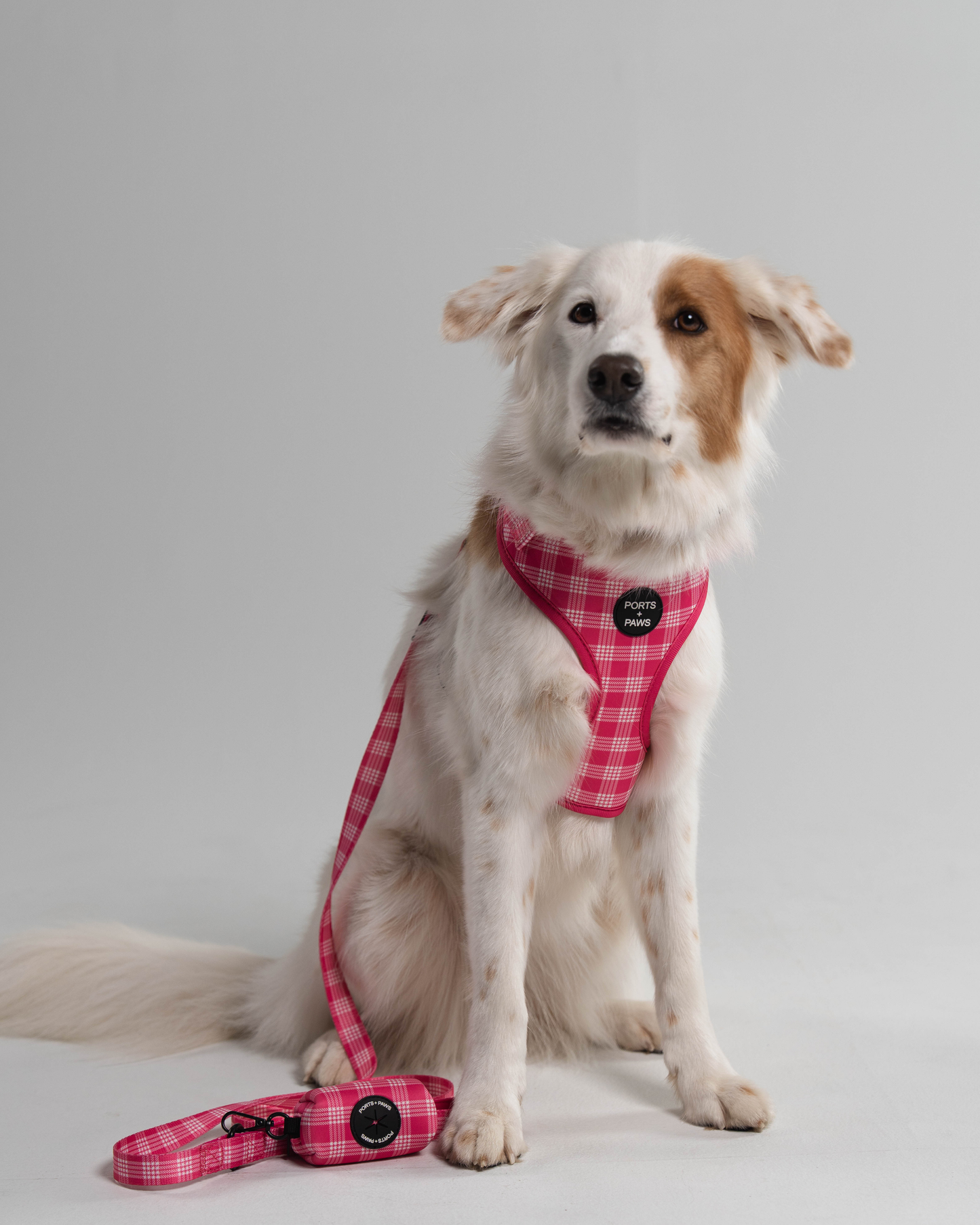 ADJUSTABLE HARNESS - PALAKA PINK