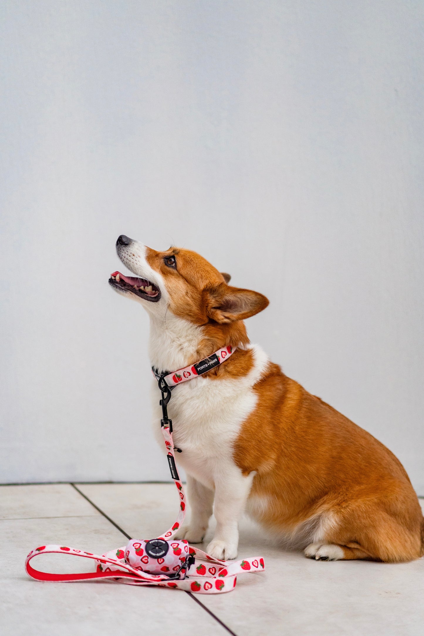 POOP BAG HOLDER - STRAWBERRY MOCHI