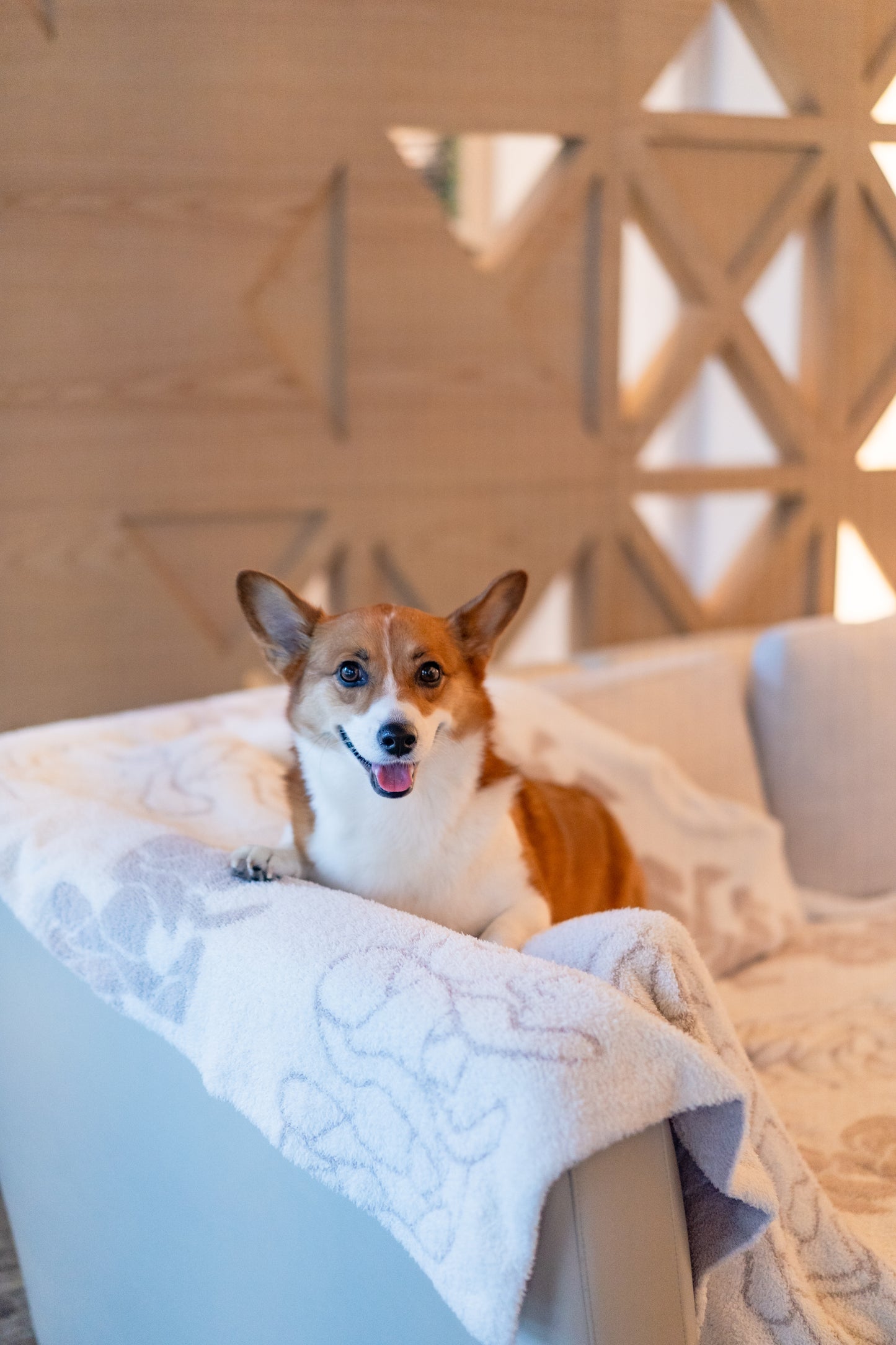 COZY BLANKET - PUAKENIKENI