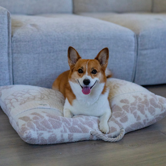 COZY DOG BED - PUAKENIKENI