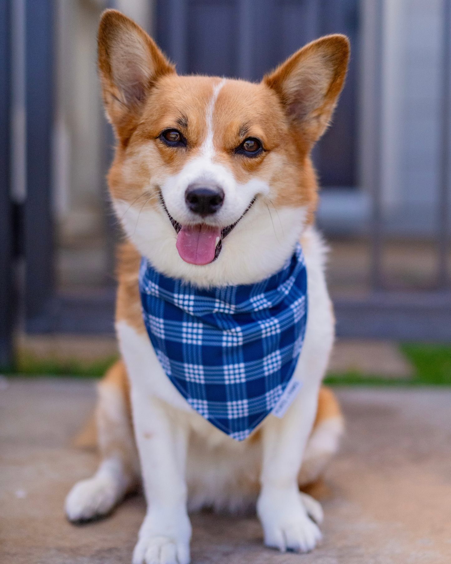 QUICK DRY BANDANA - PALAKA BLUE