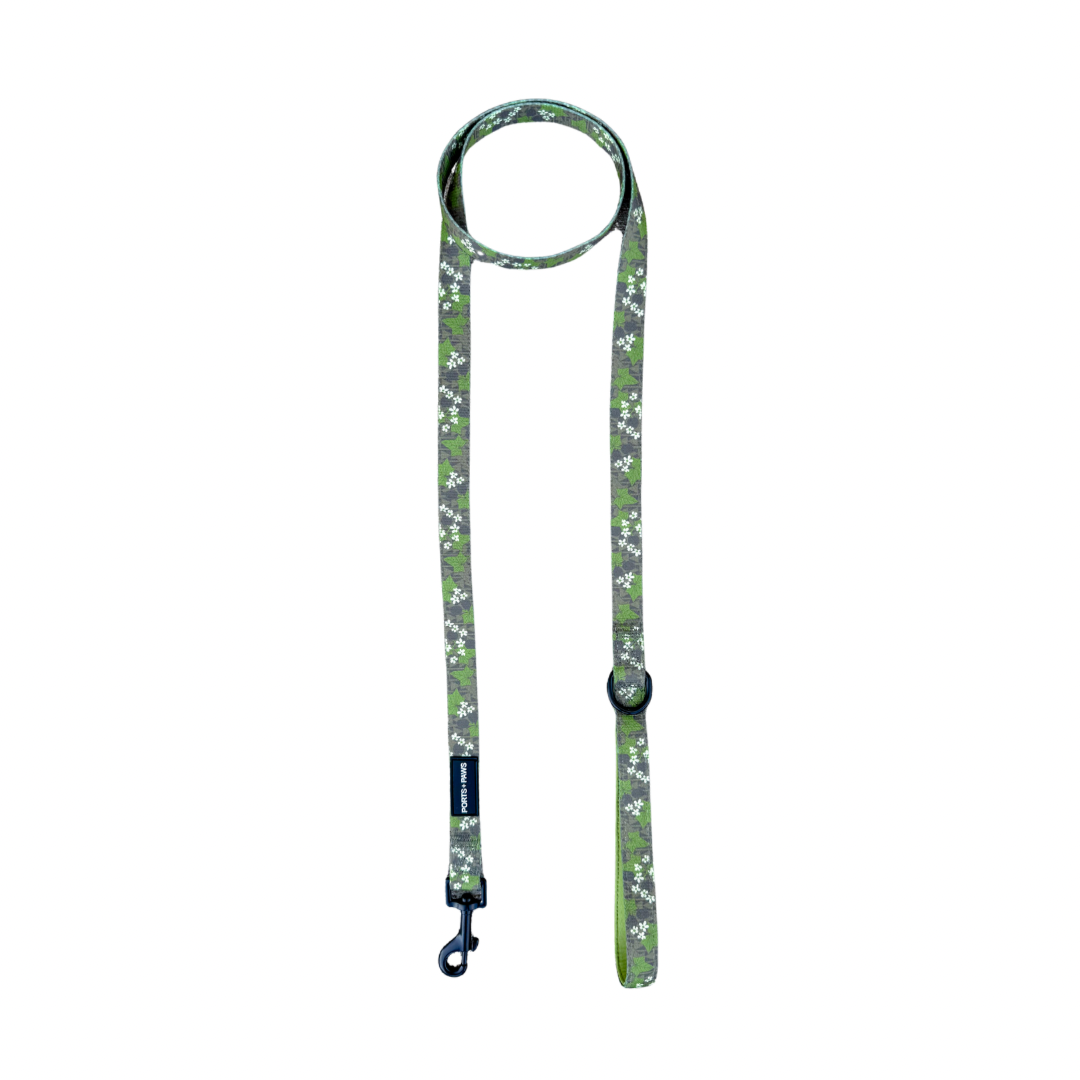 LEASH - MOLOKAʻI PUA KUKUI NUT