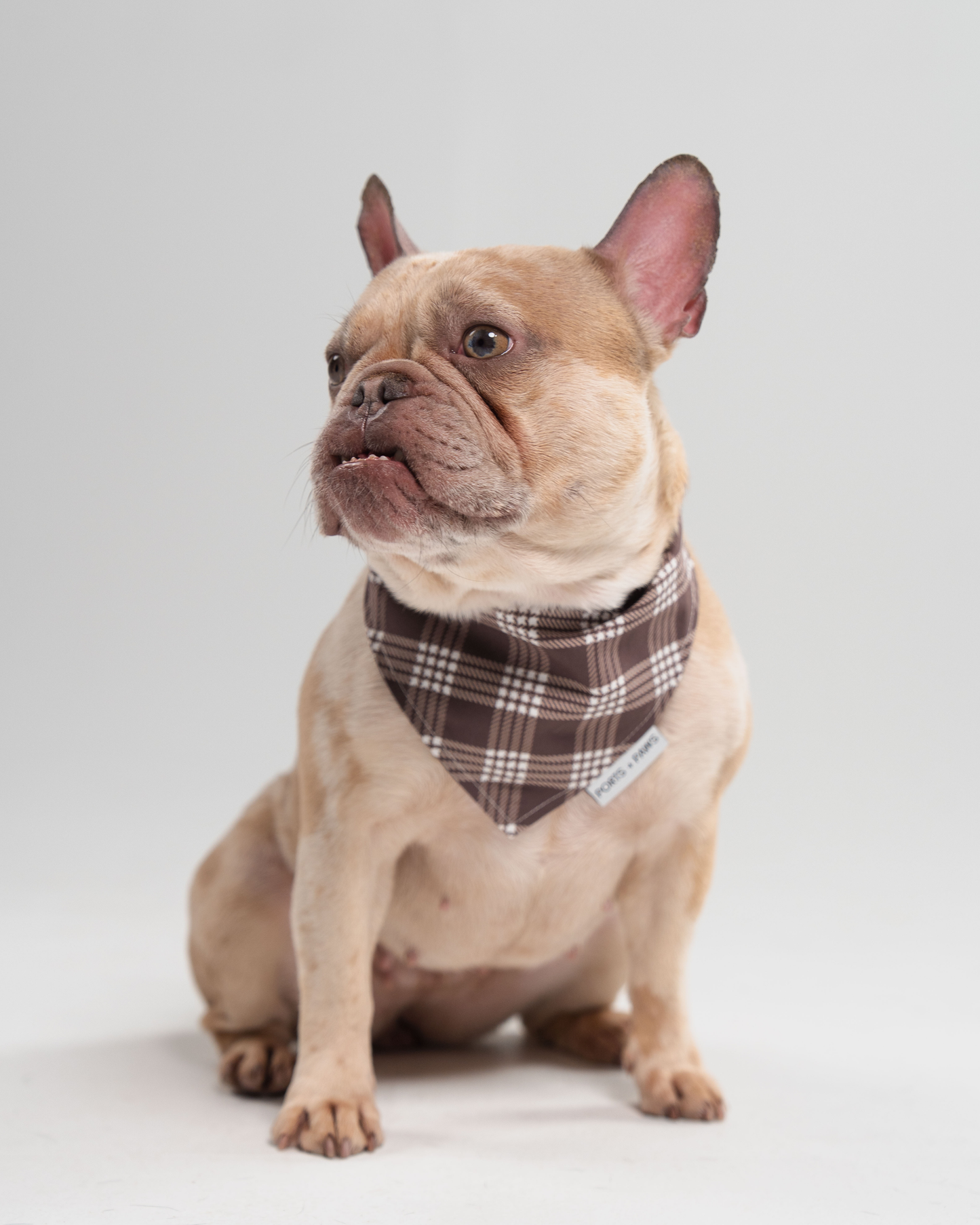 QUICK DRY BANDANA - PALAKA BROWN